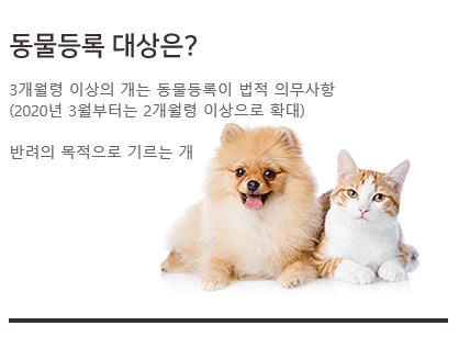 다음펫 대표 이미지