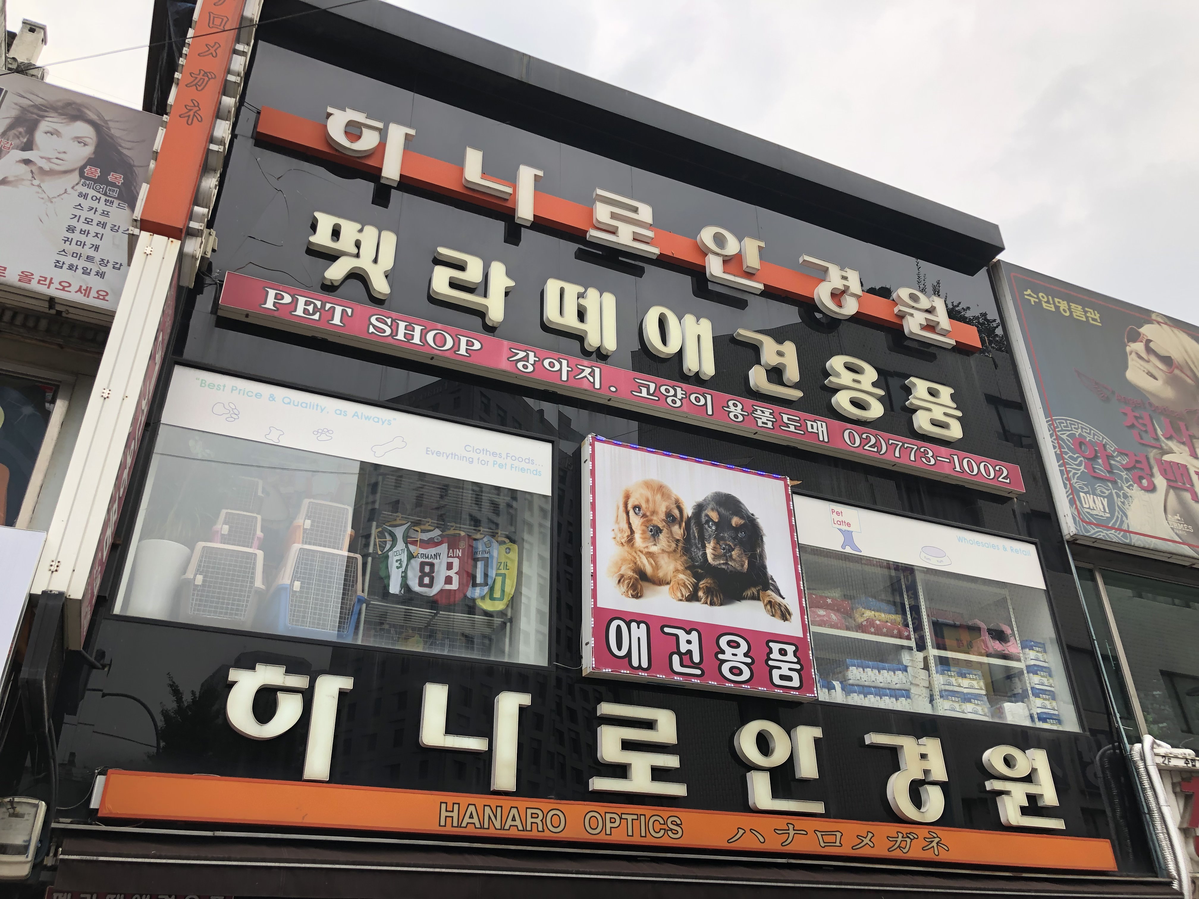 펫라떼애견용품 대표 이미지