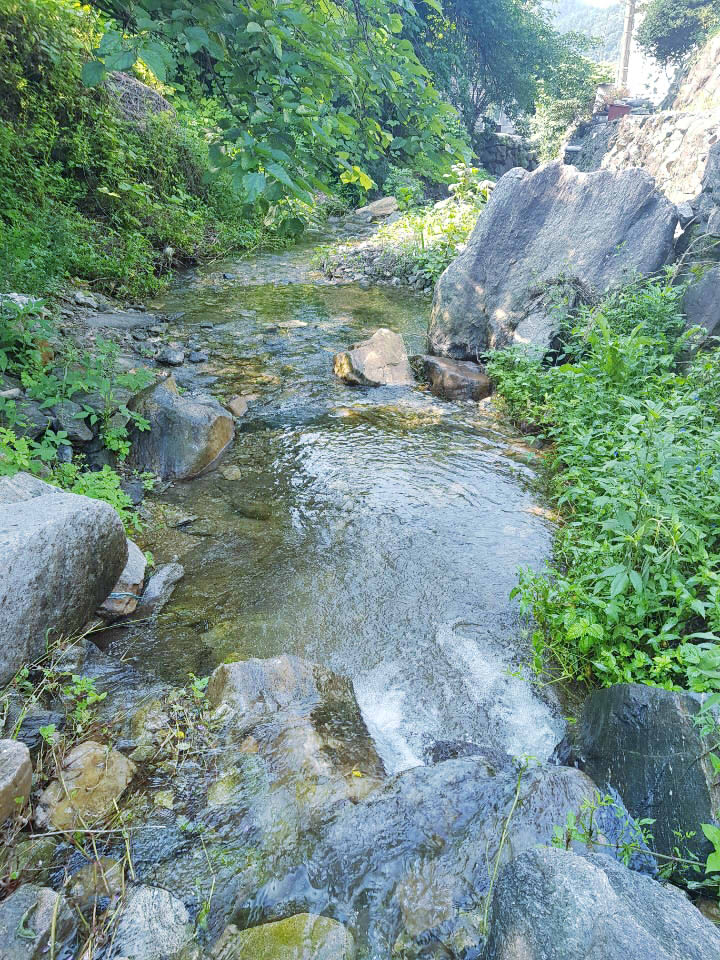 산내956 3