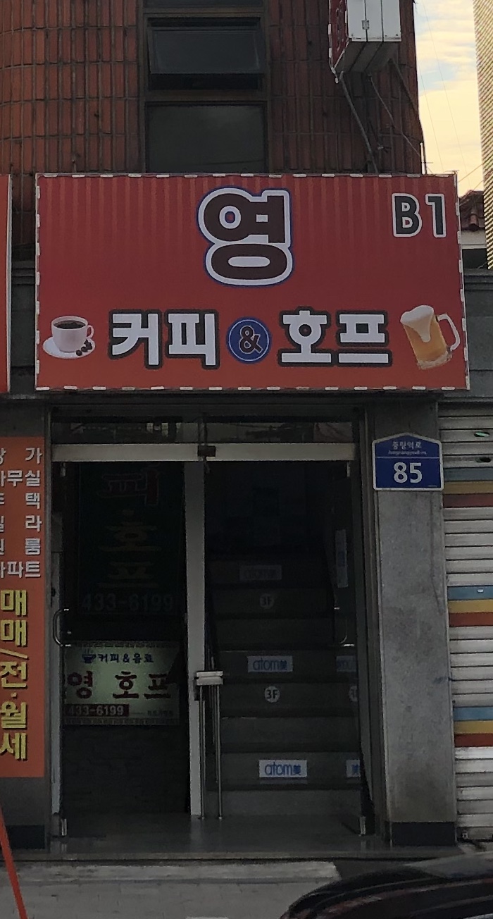 영커피호프
