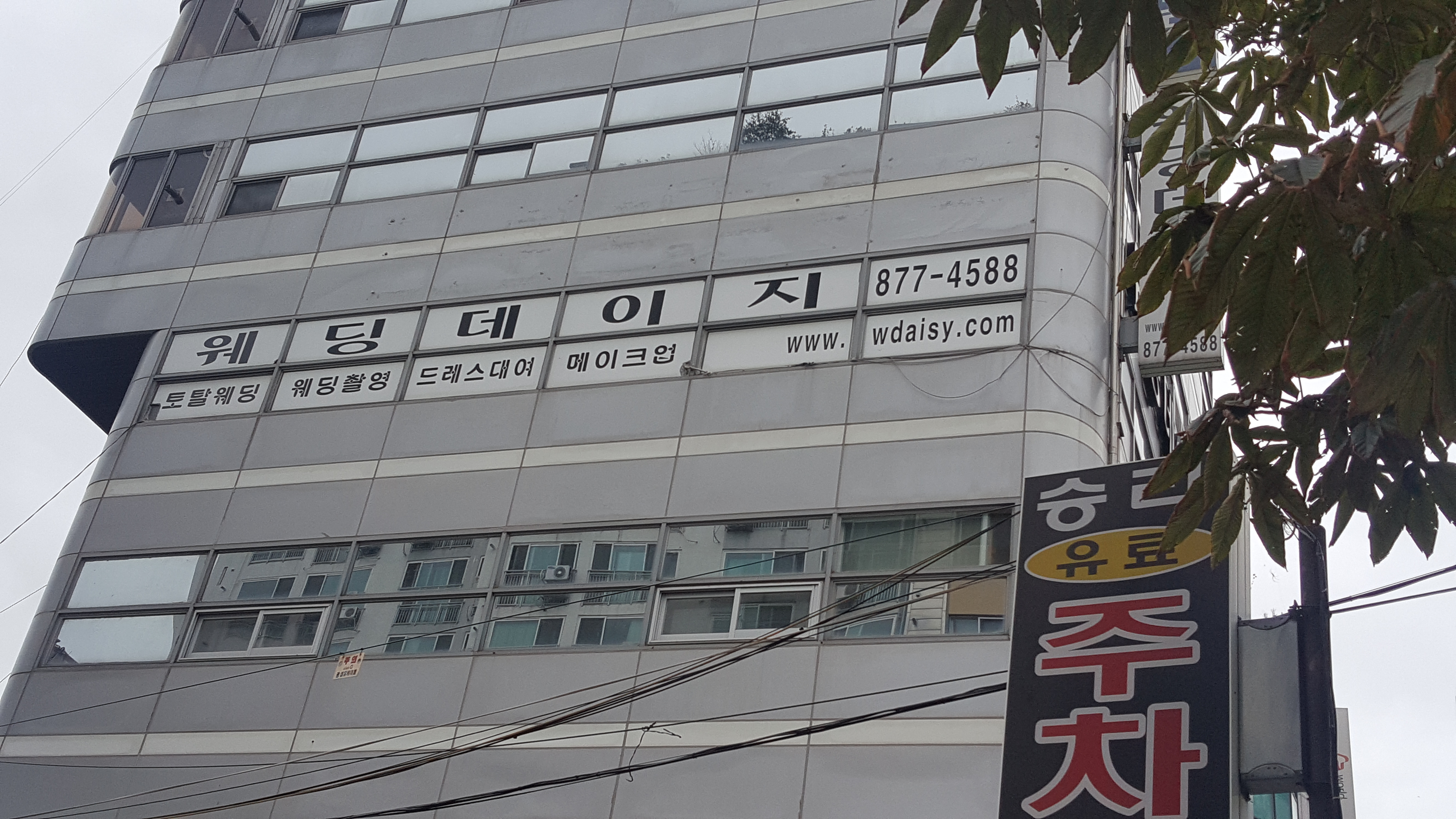 웨딩데이지