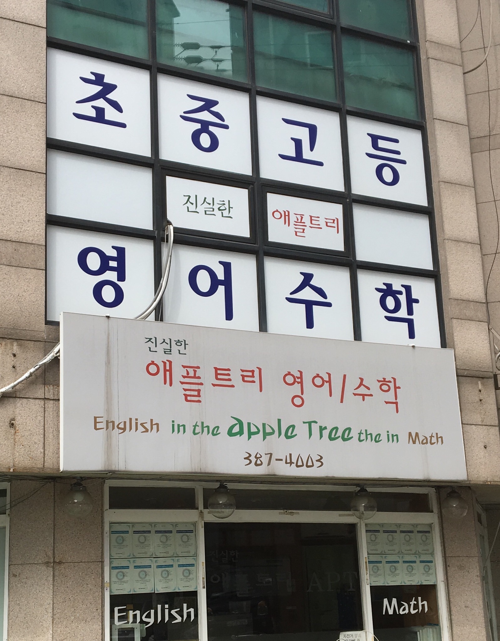 애플트리학원