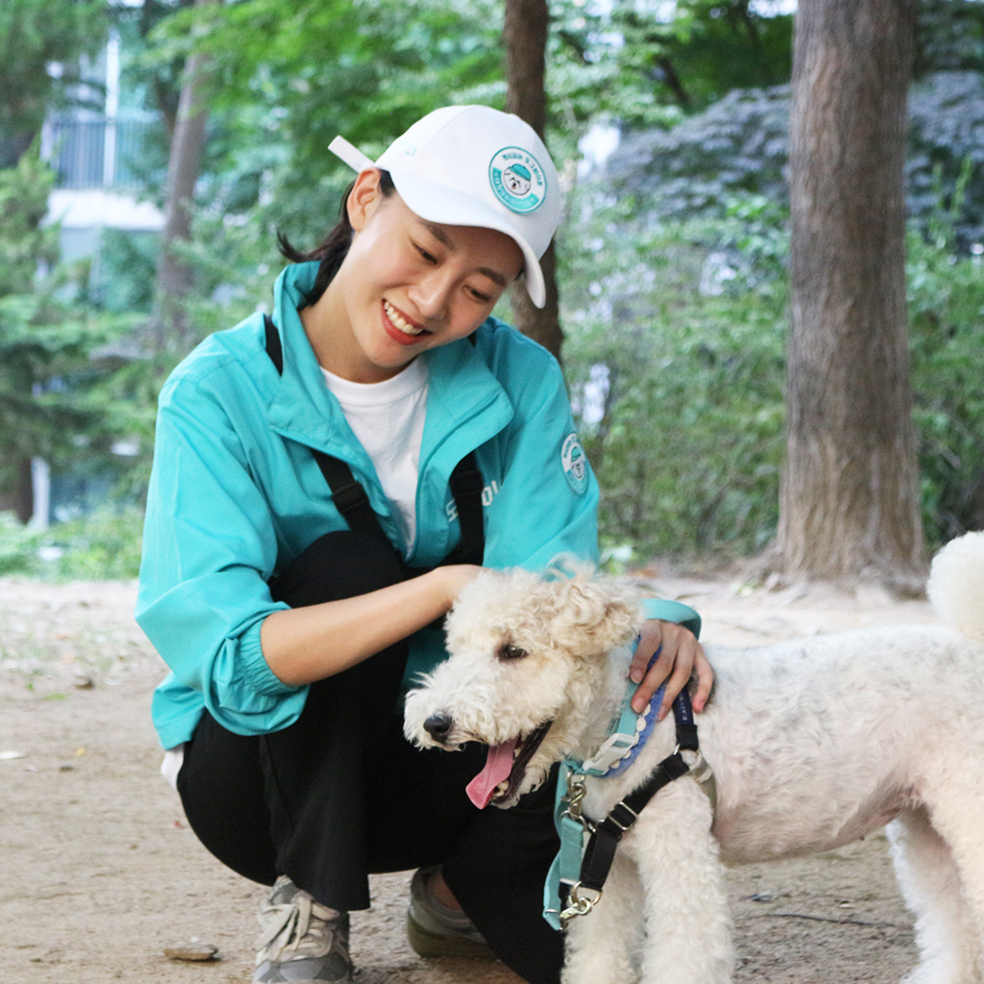 도그메이트 대표 이미지
