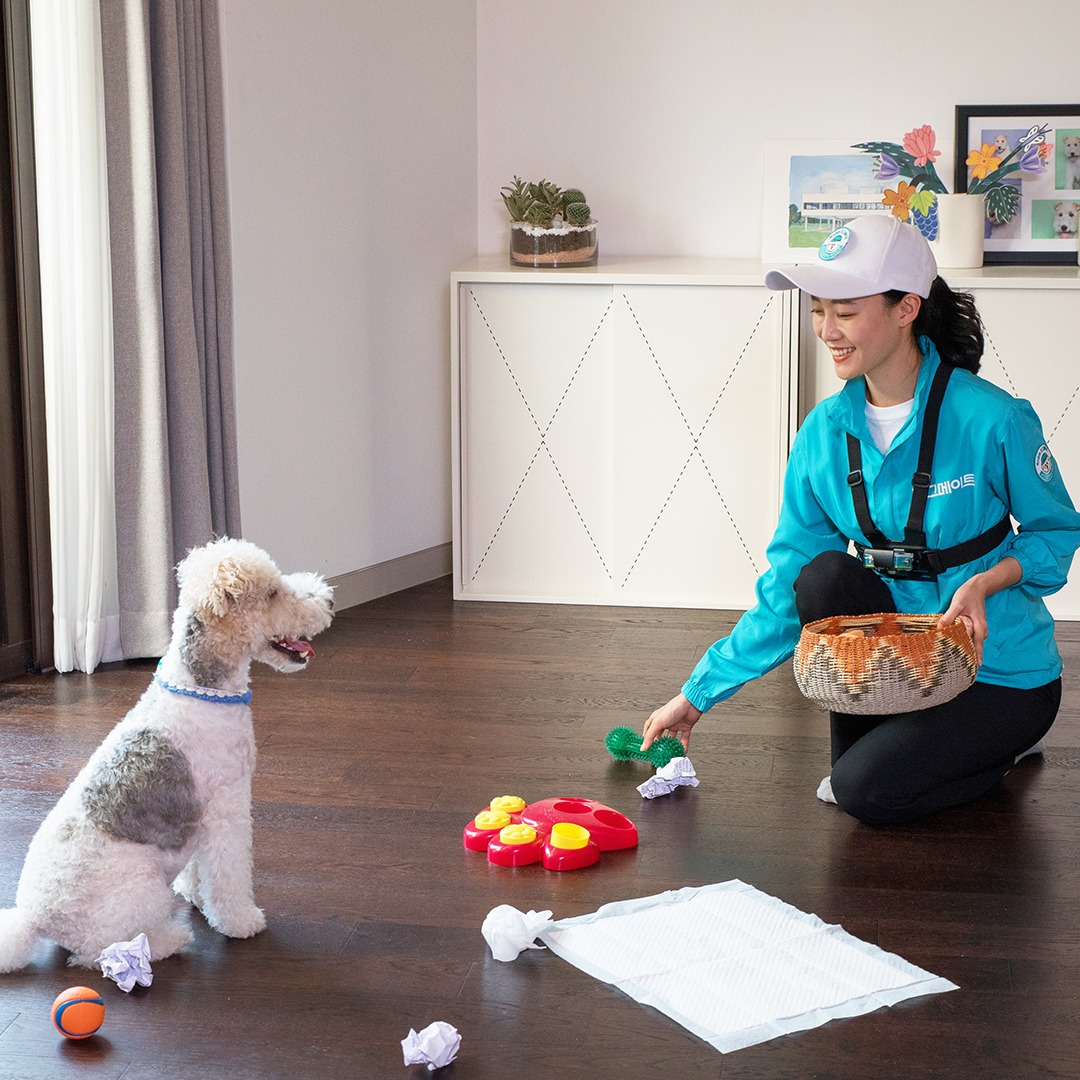 도그메이트 대표 이미지