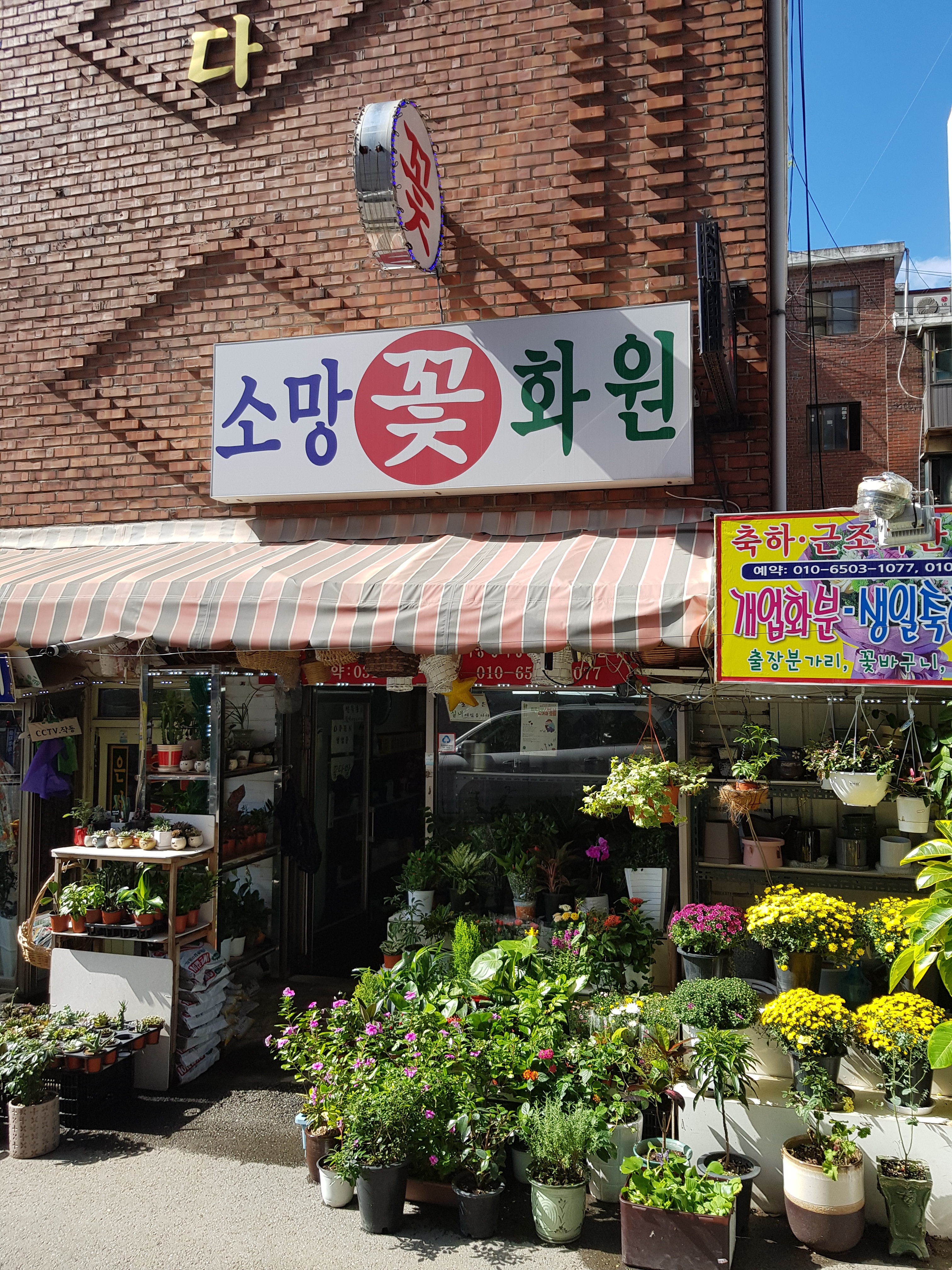 소망꽃화원