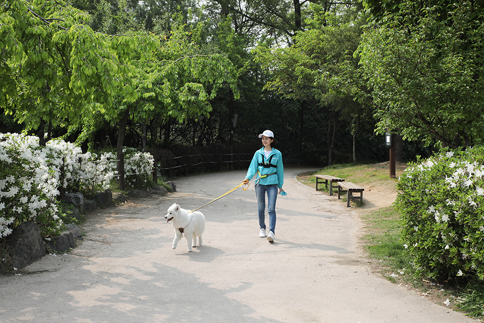 도그메이트 대표 이미지