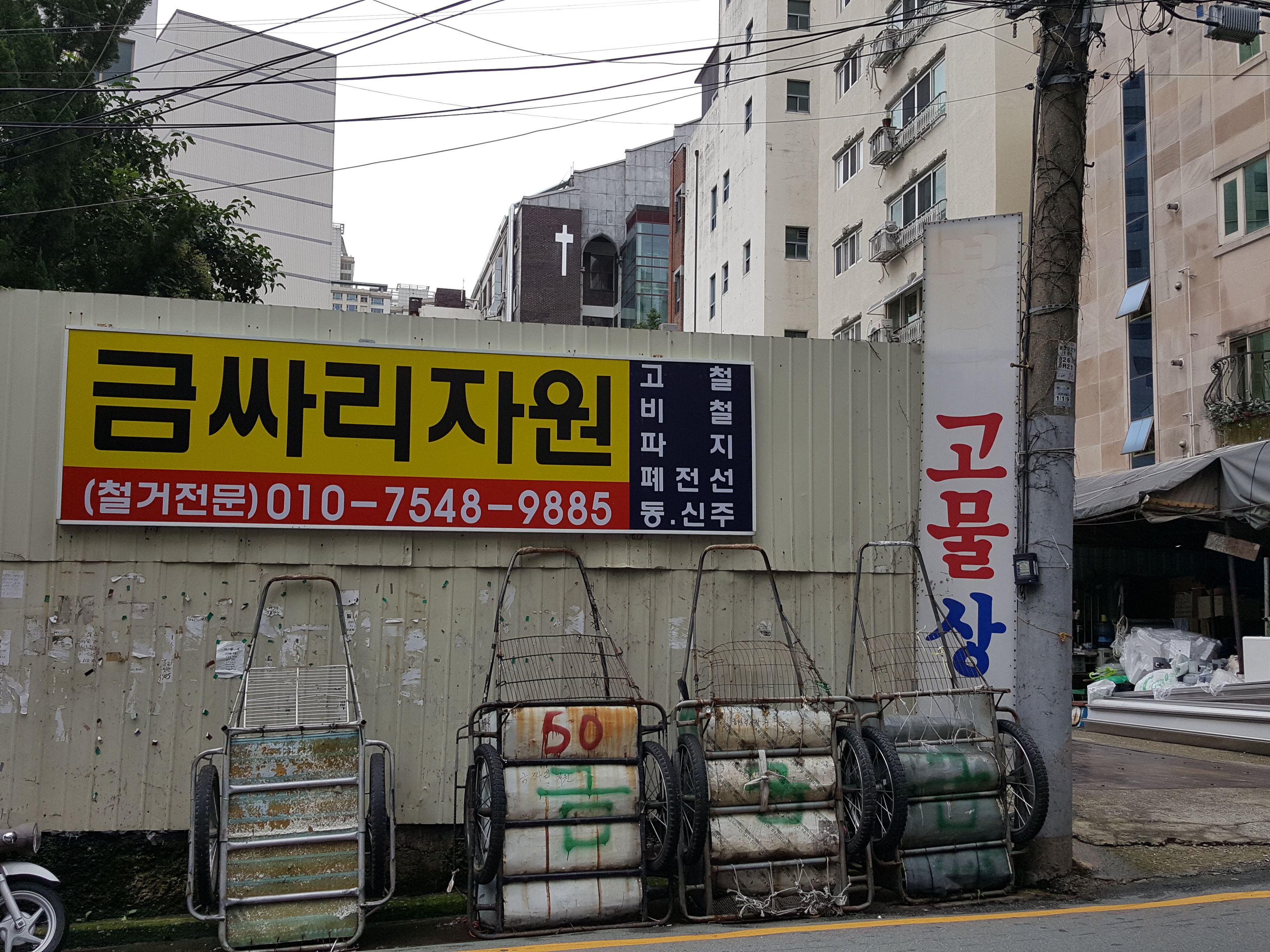 금싸리자원