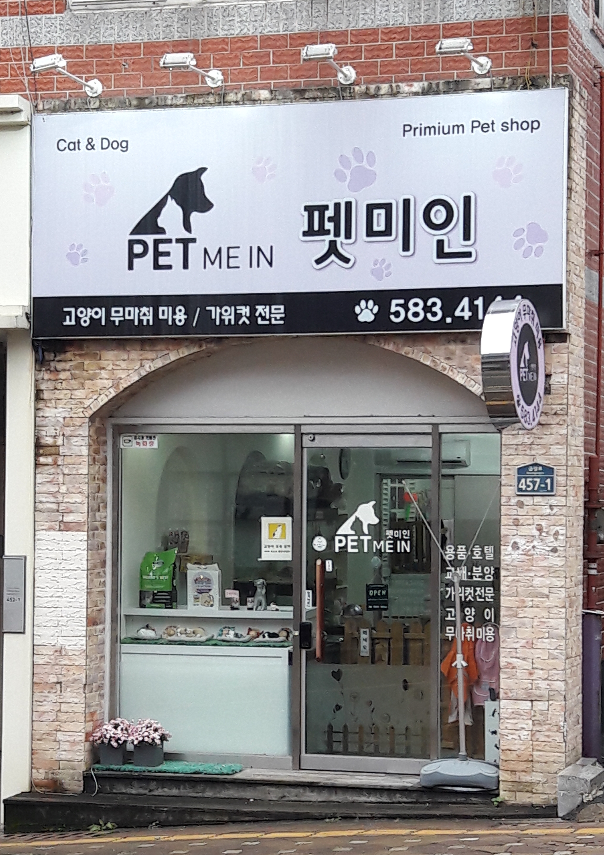 펫미인 대표 이미지