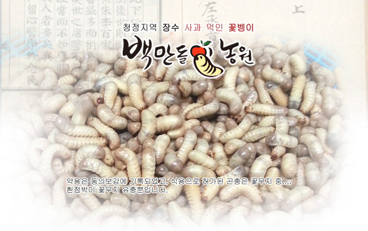 백만돌이굼벵이농원