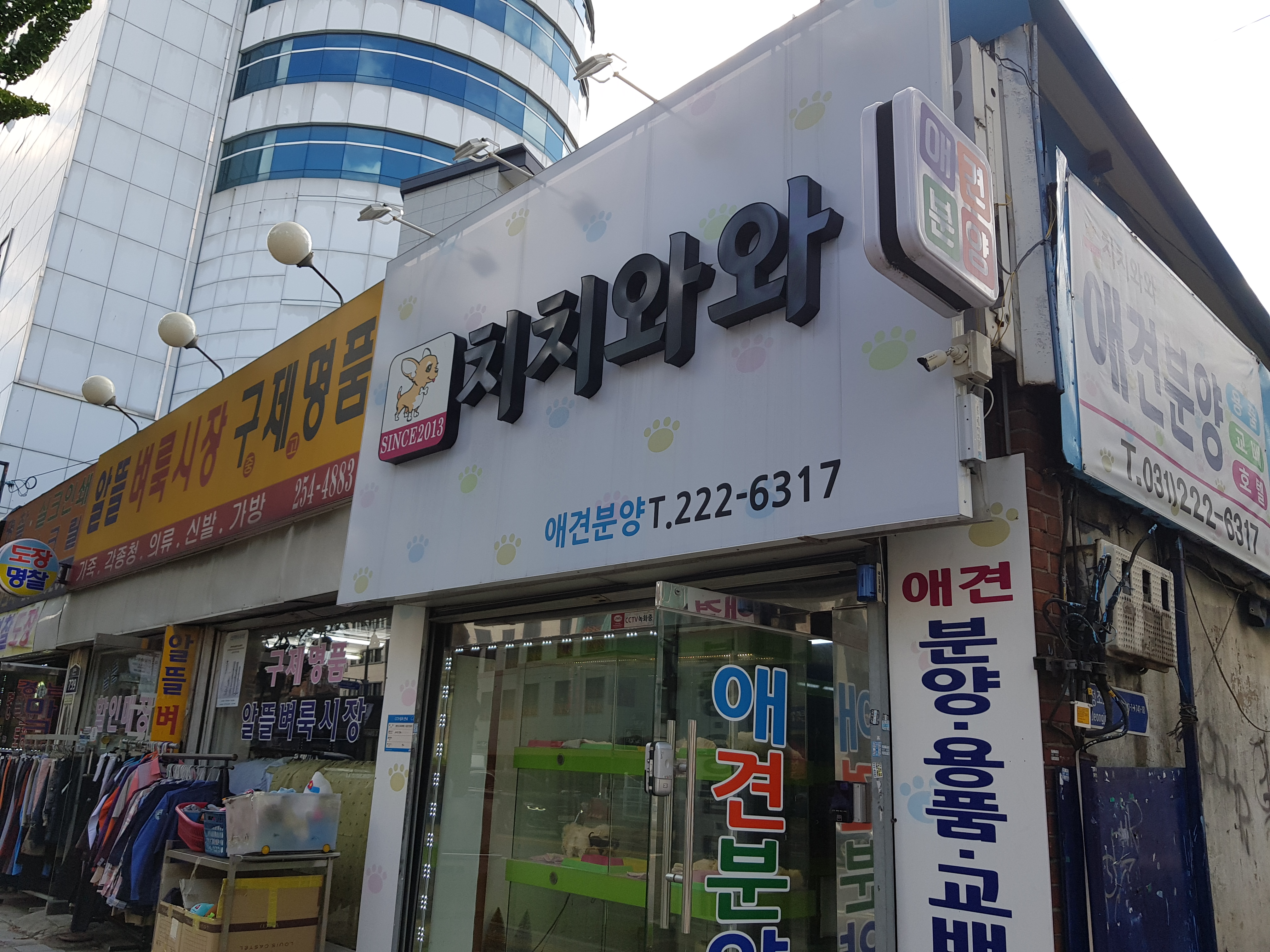 치치와와