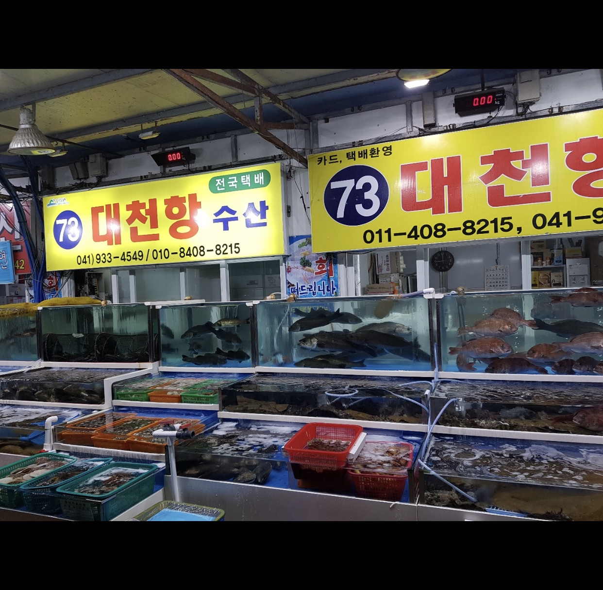 대천항수산