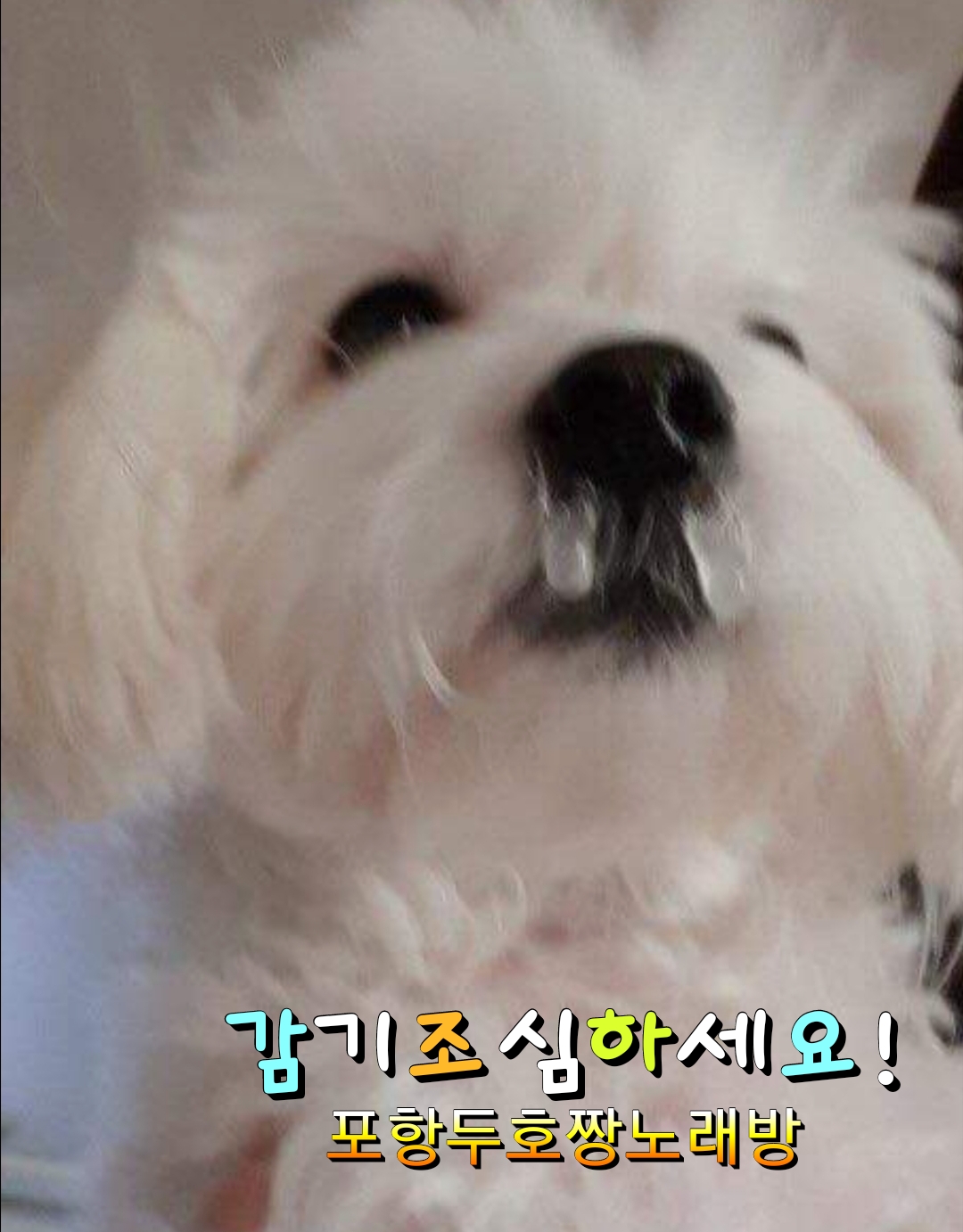 짱노래연습장