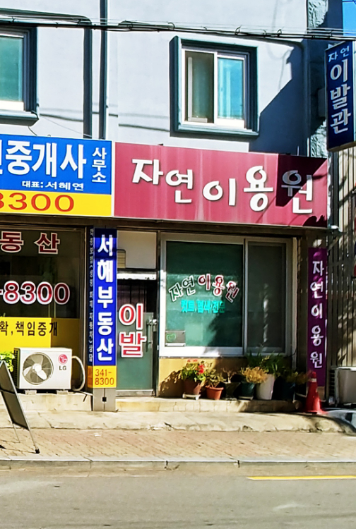 자연이용원
