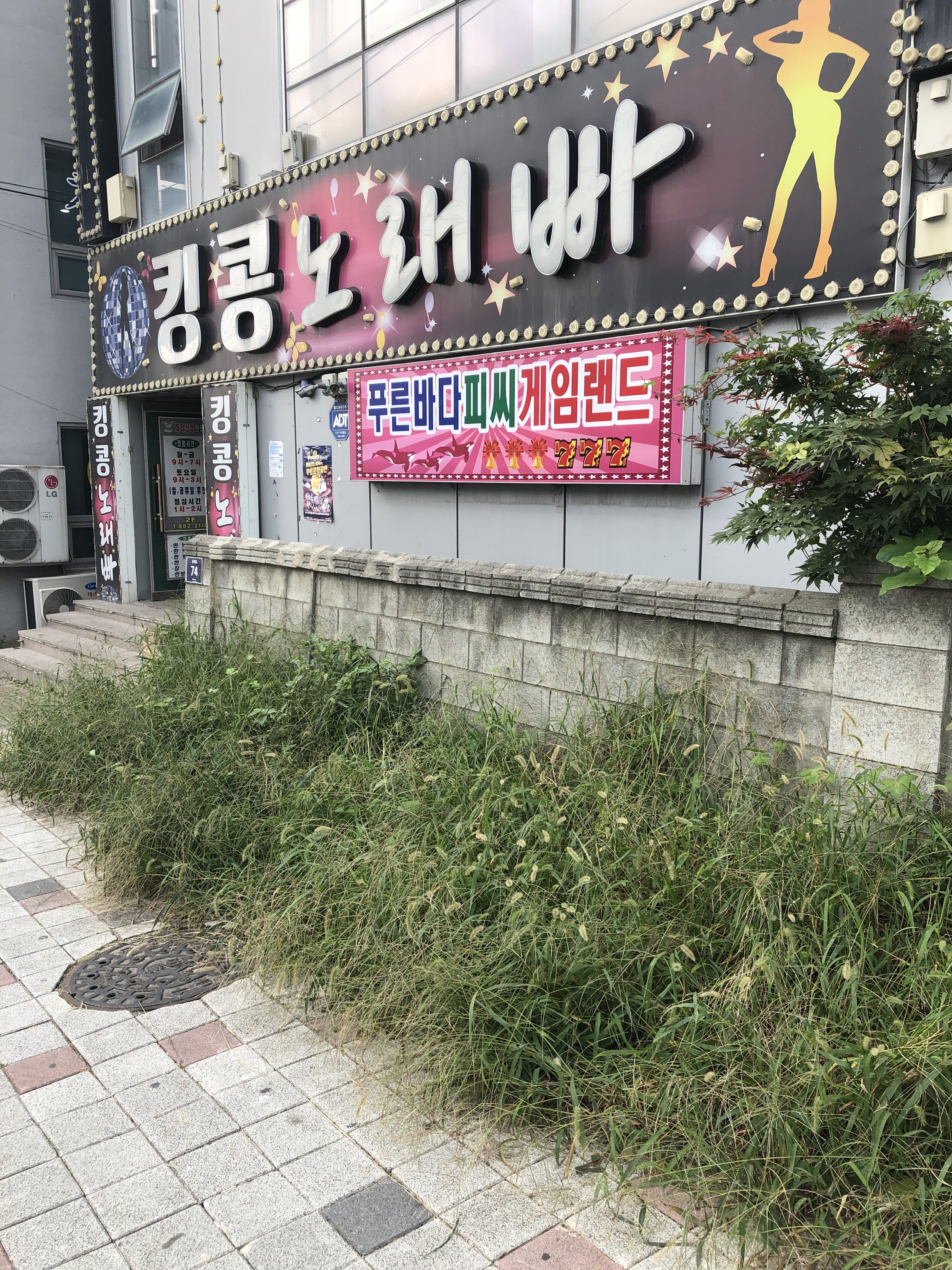 킹콩노래빠