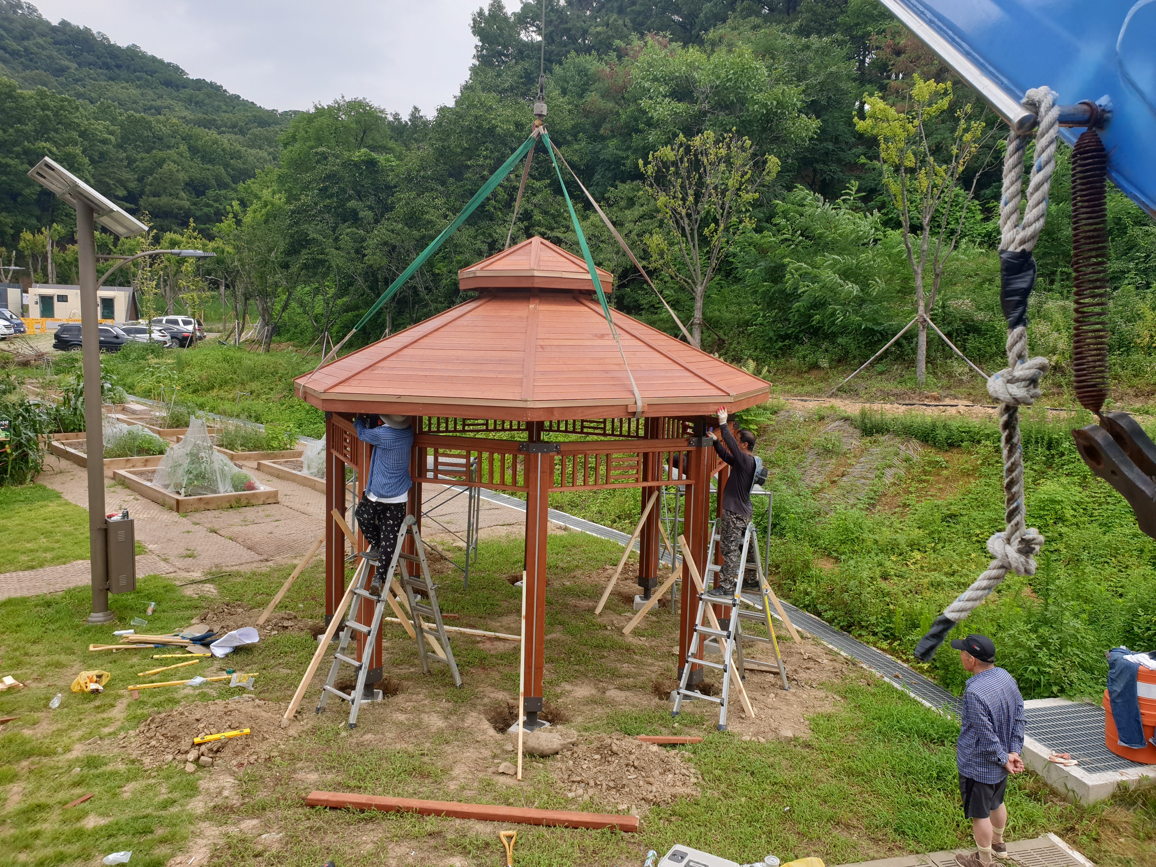 대구1001크레인