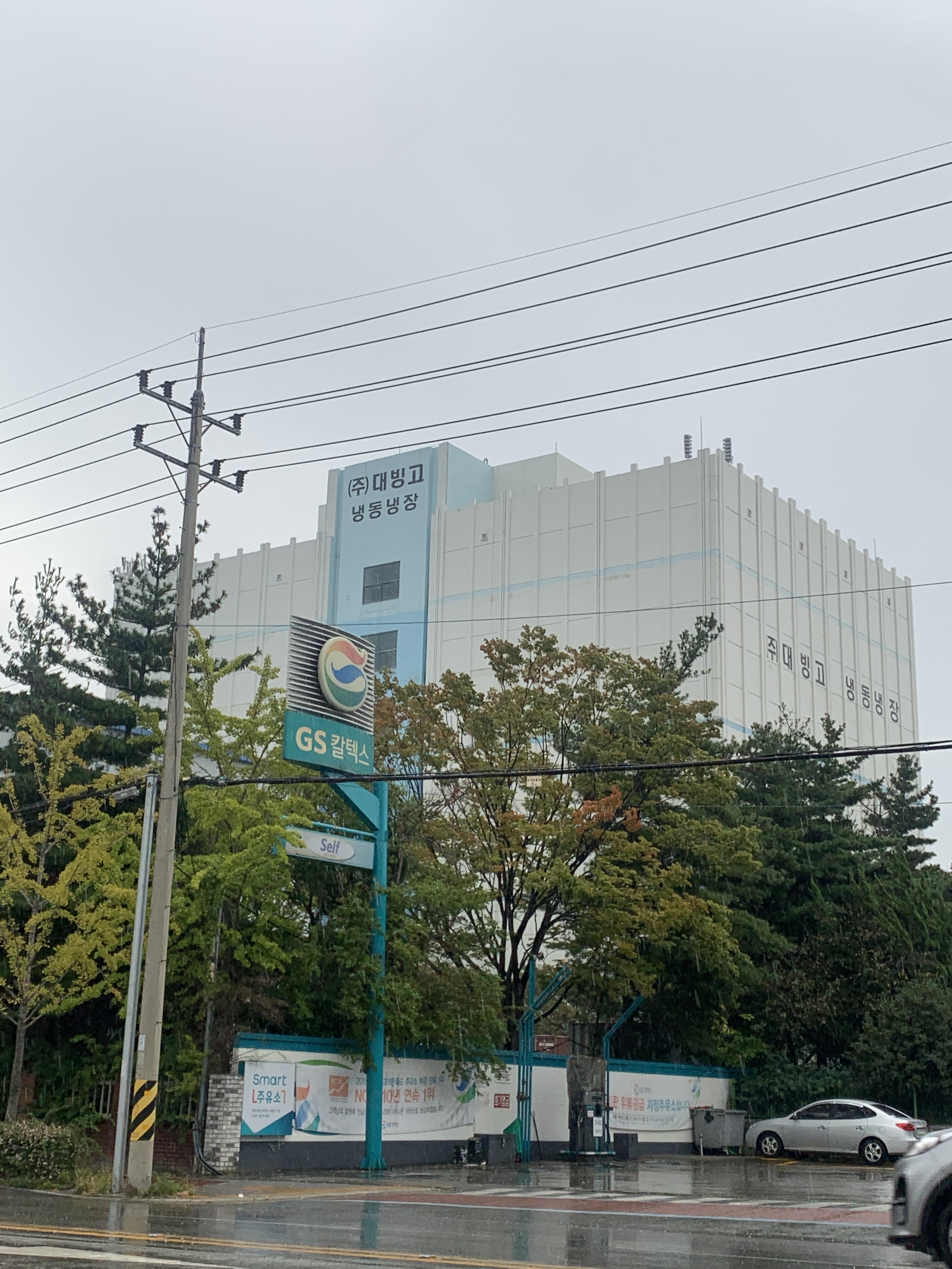 대빙고