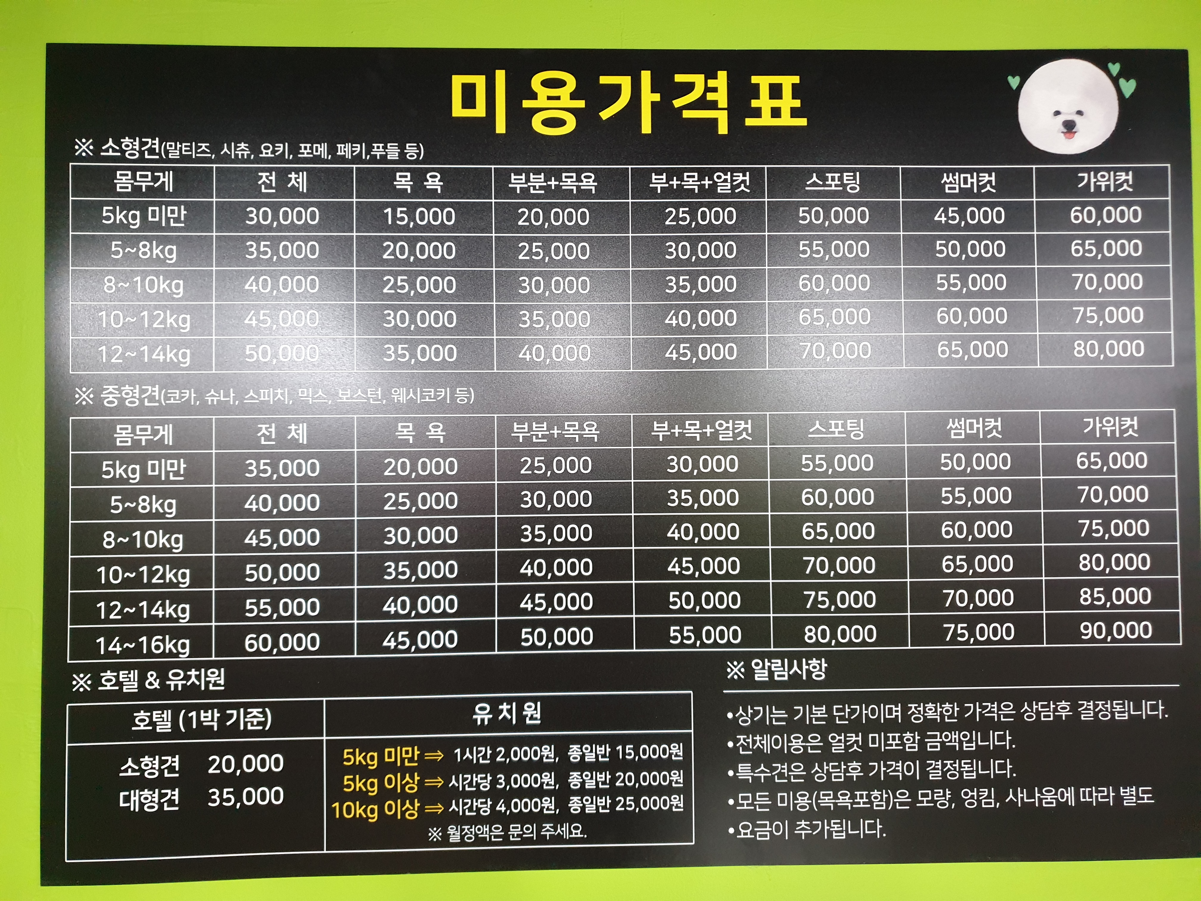 멍냥멍냥