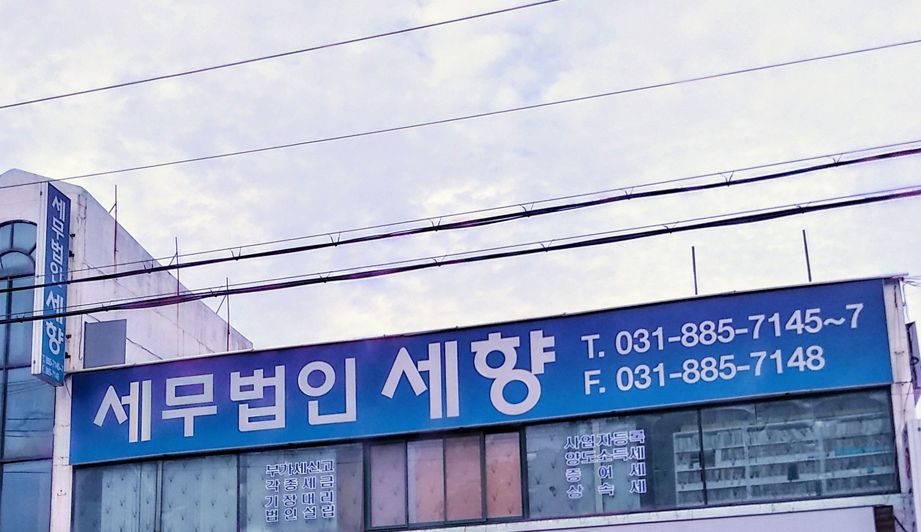 세무법인세향