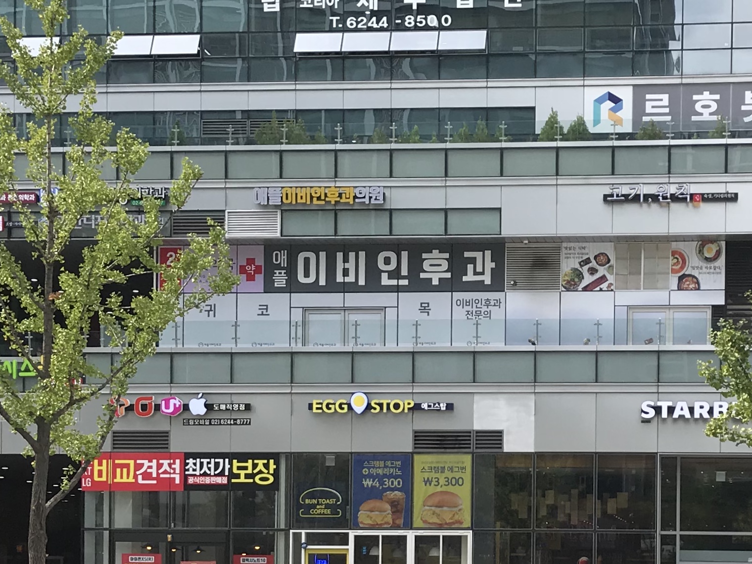 애플이비인후과 (2/2)