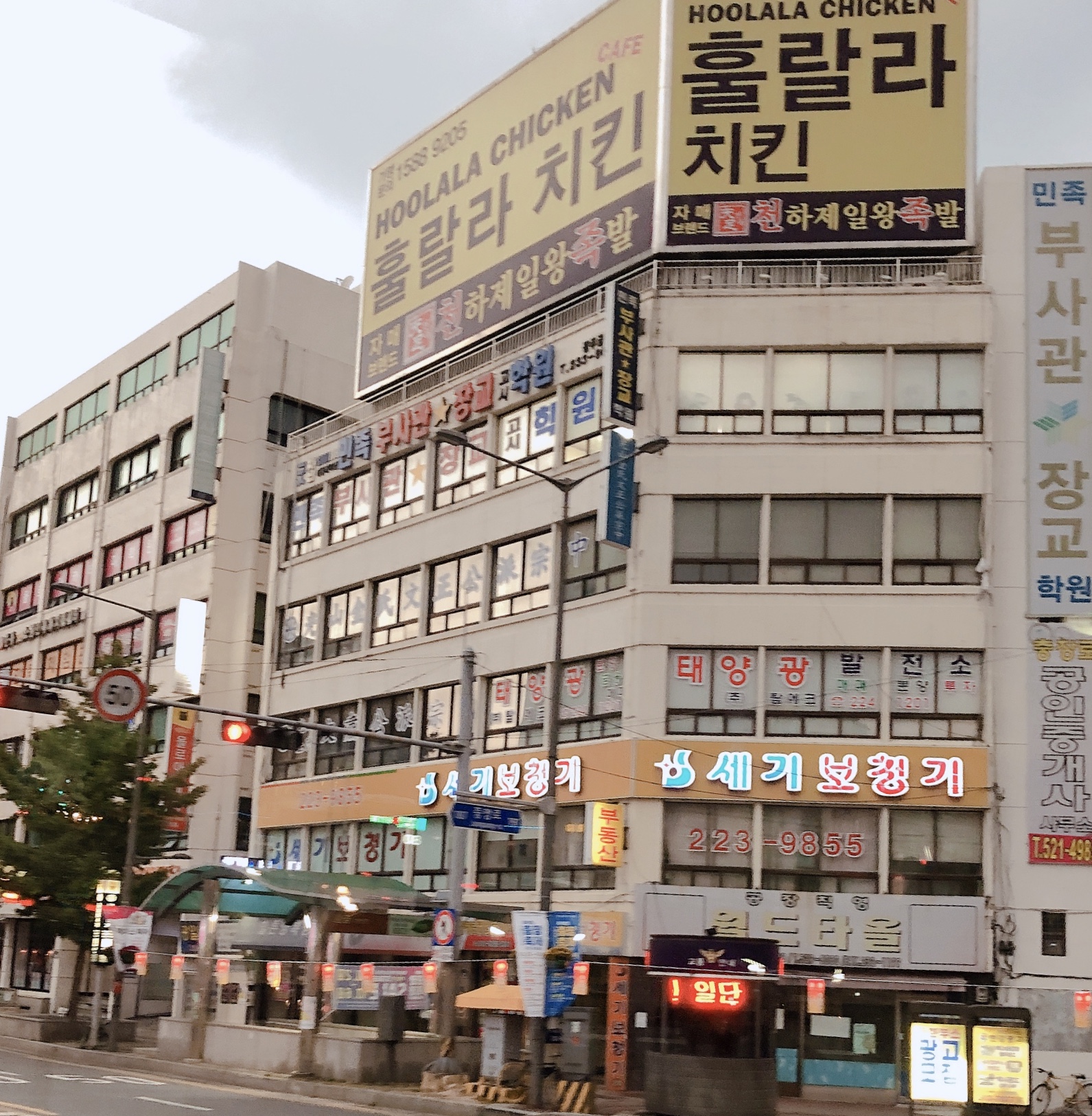 ์ธ๊ธฐ๋ณด์ฒญ๊ธฐ ๋ํ ์ด๋ฏธ์ง