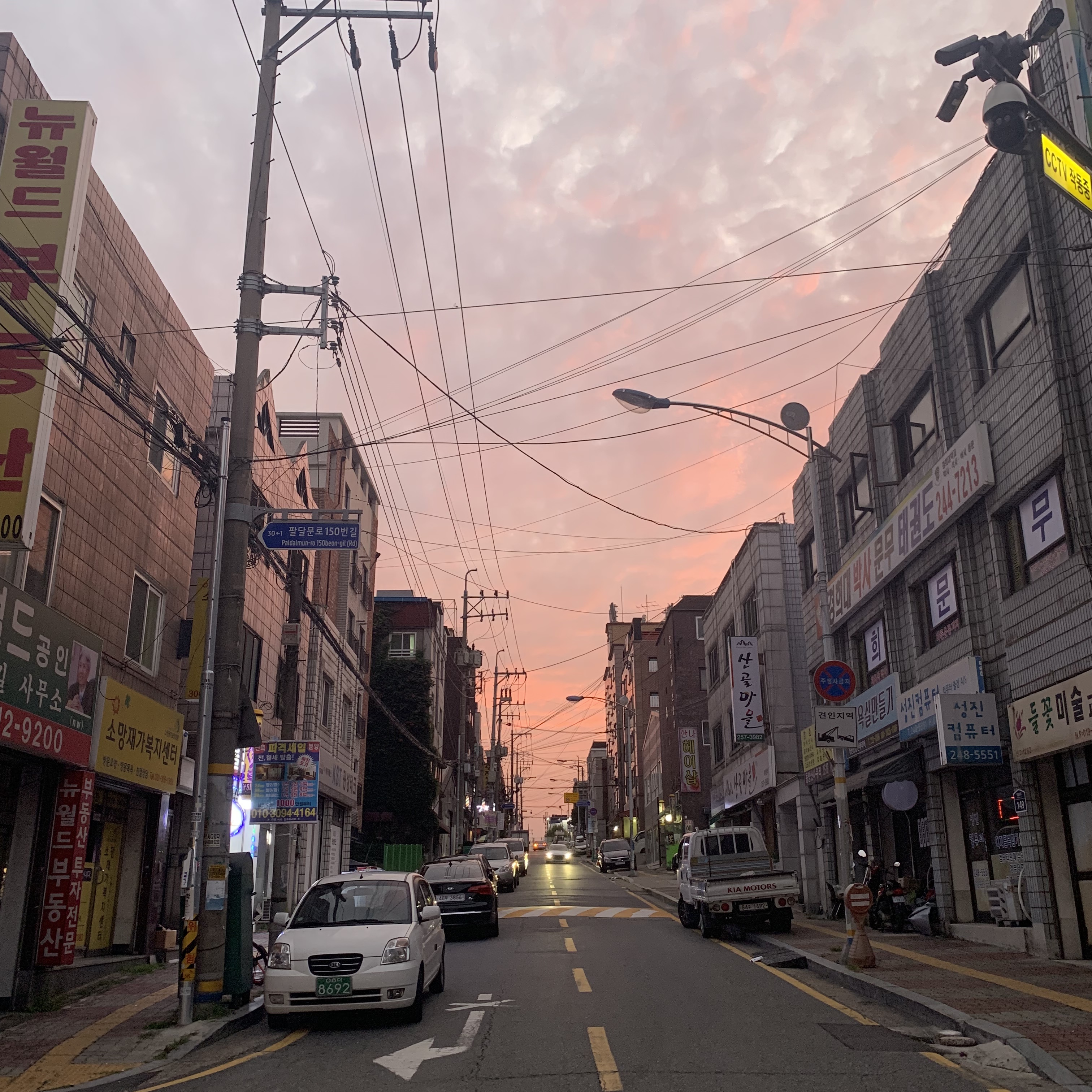 미쁘다봄씨