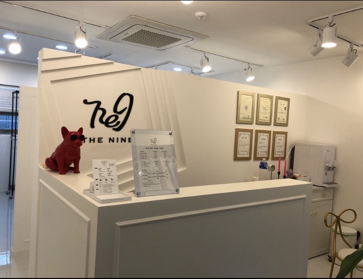 더나인뷰티