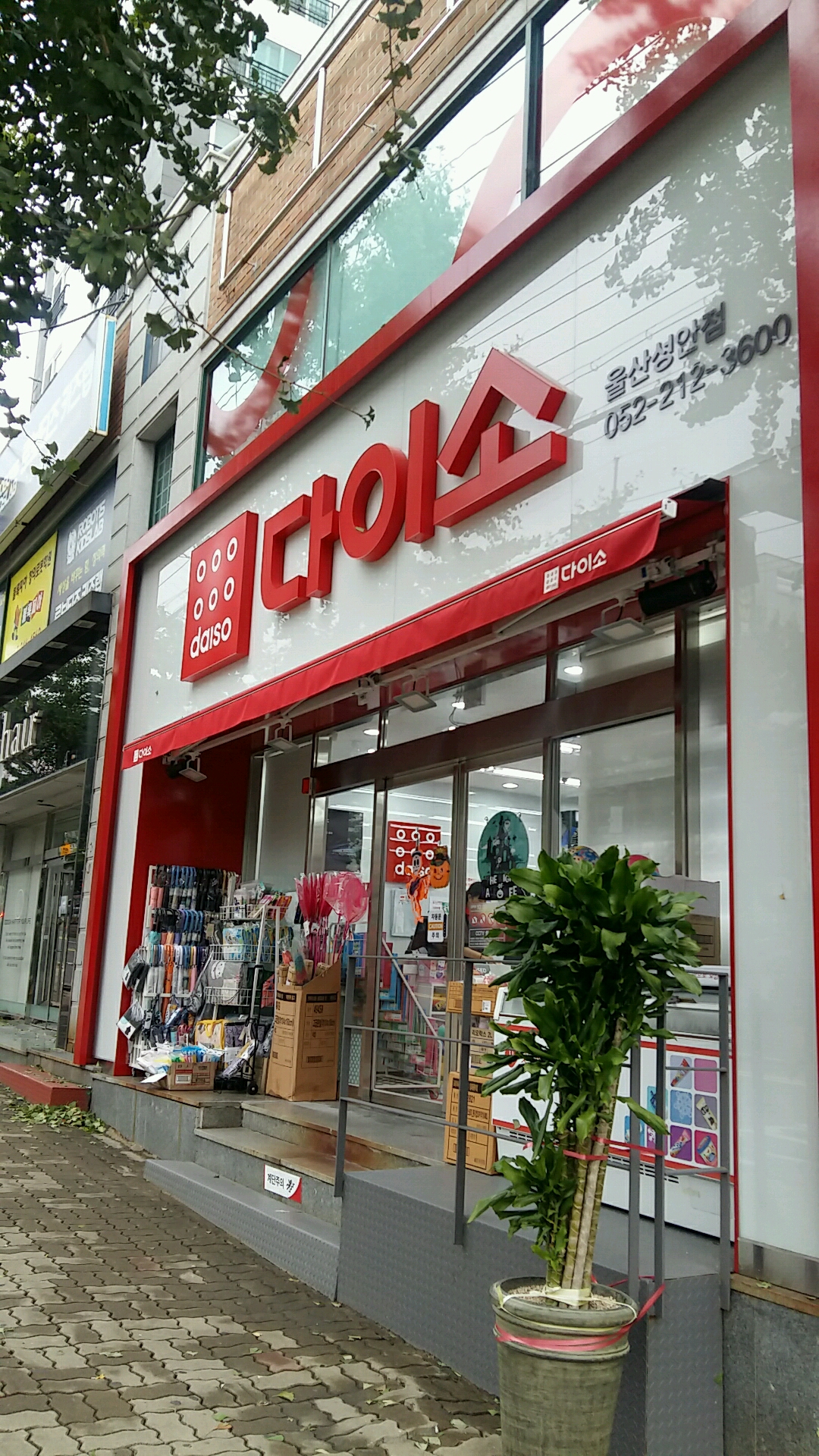 다이소 울산성안점