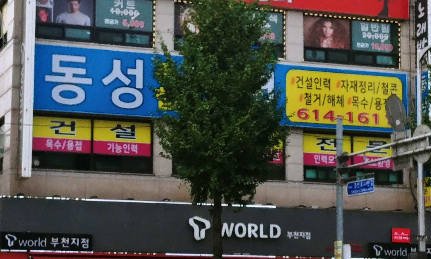 동성인력