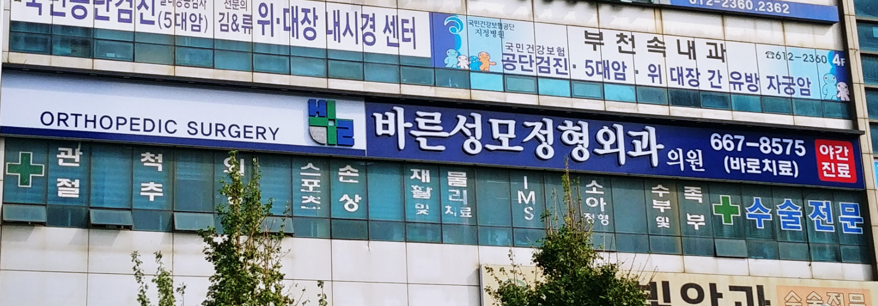 바른성모정형외과의원