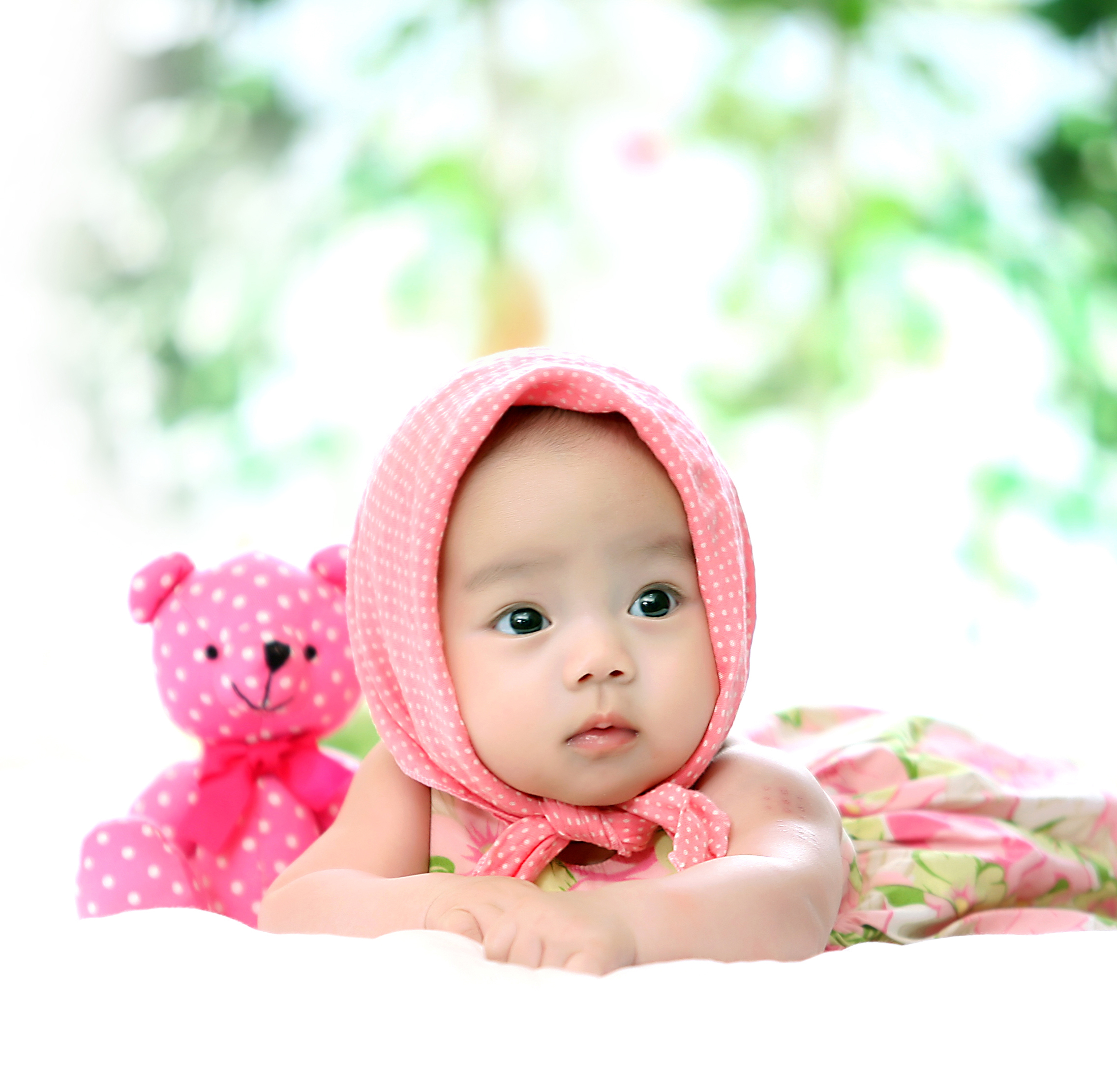 바우사진 대표 이미지