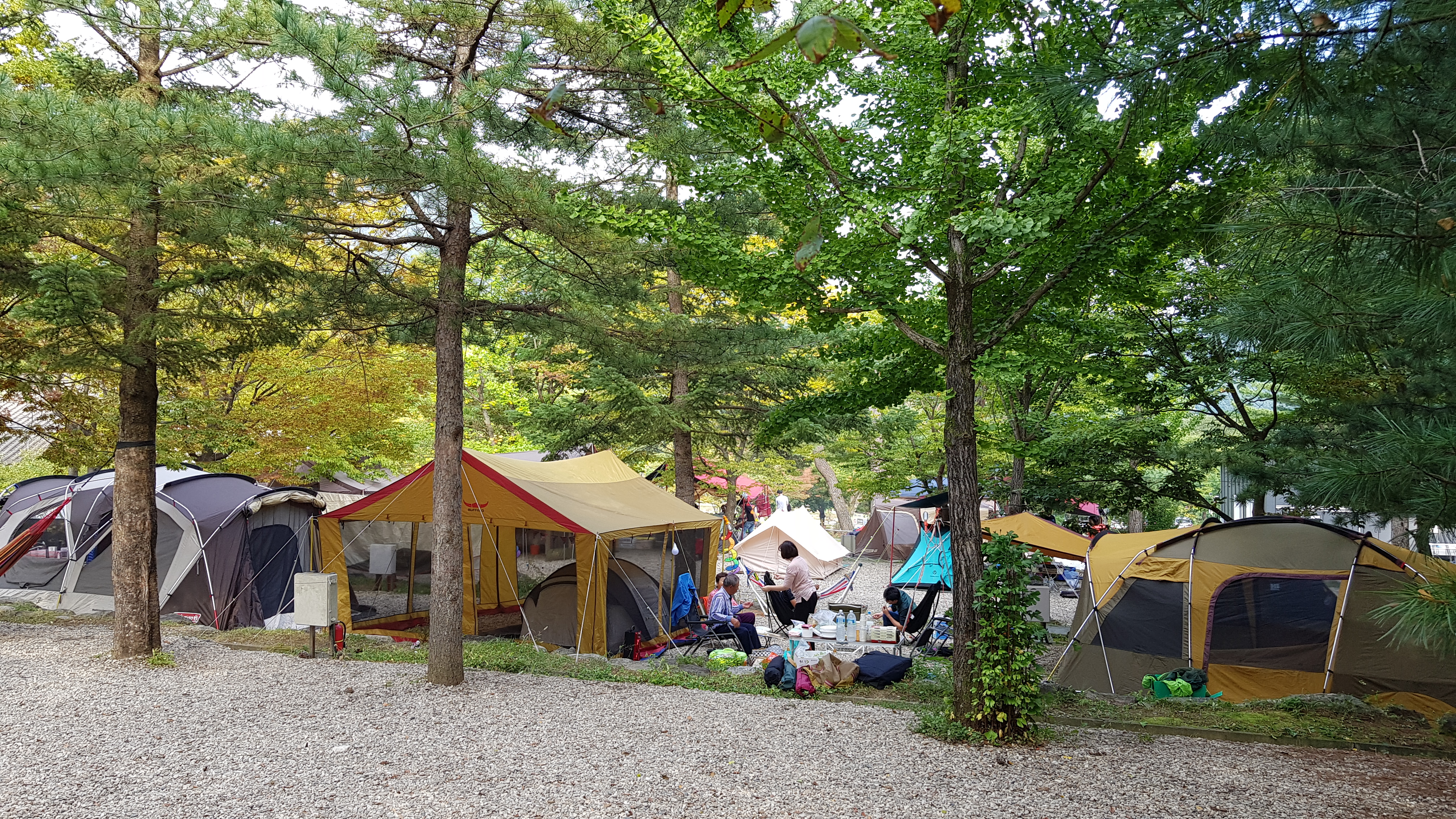 용문산야영장&글램핑캠핑장