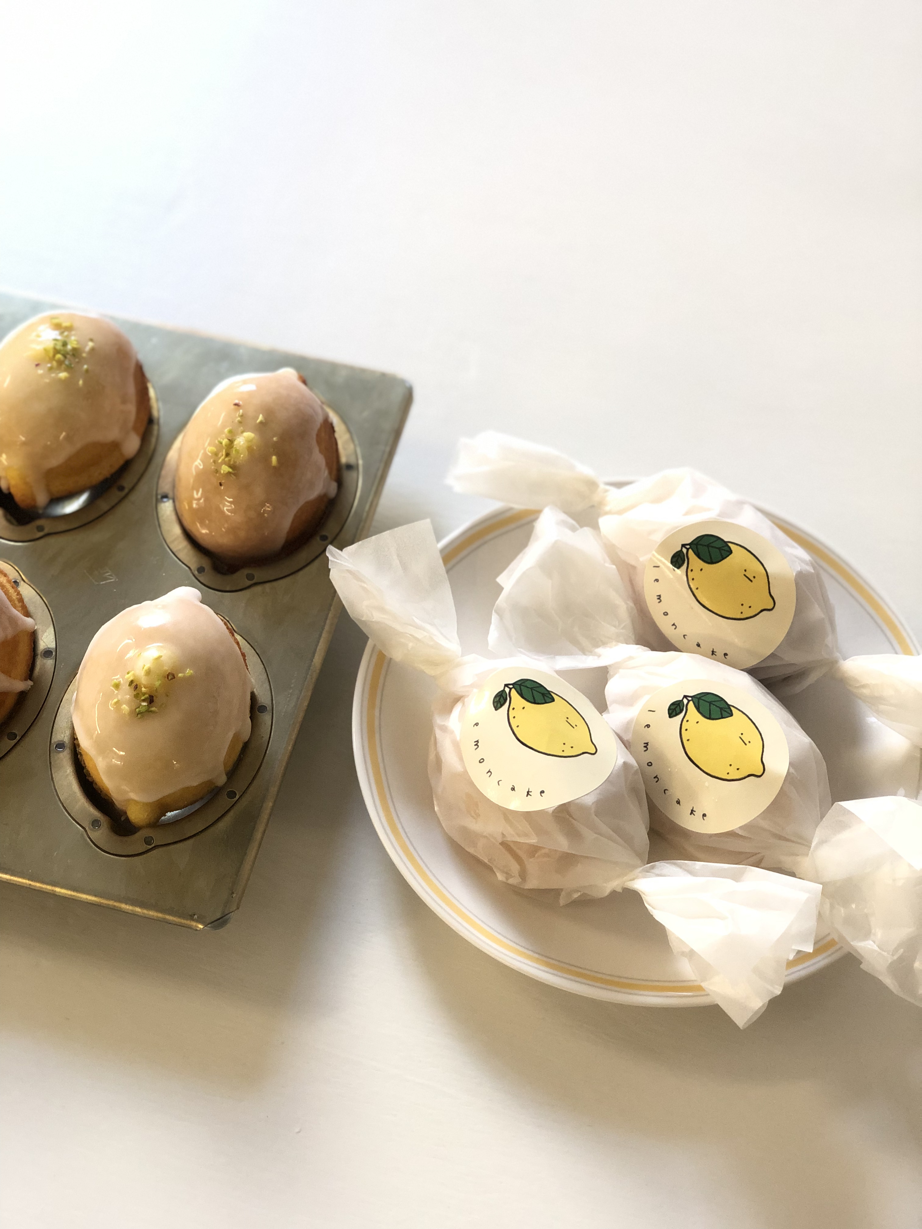 파브스커피로스터스 은평본점 서울 애견맛집