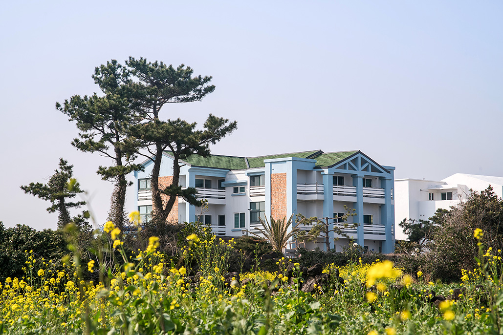 해돋는마을