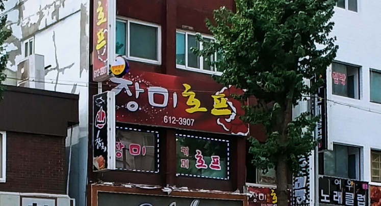장미호프