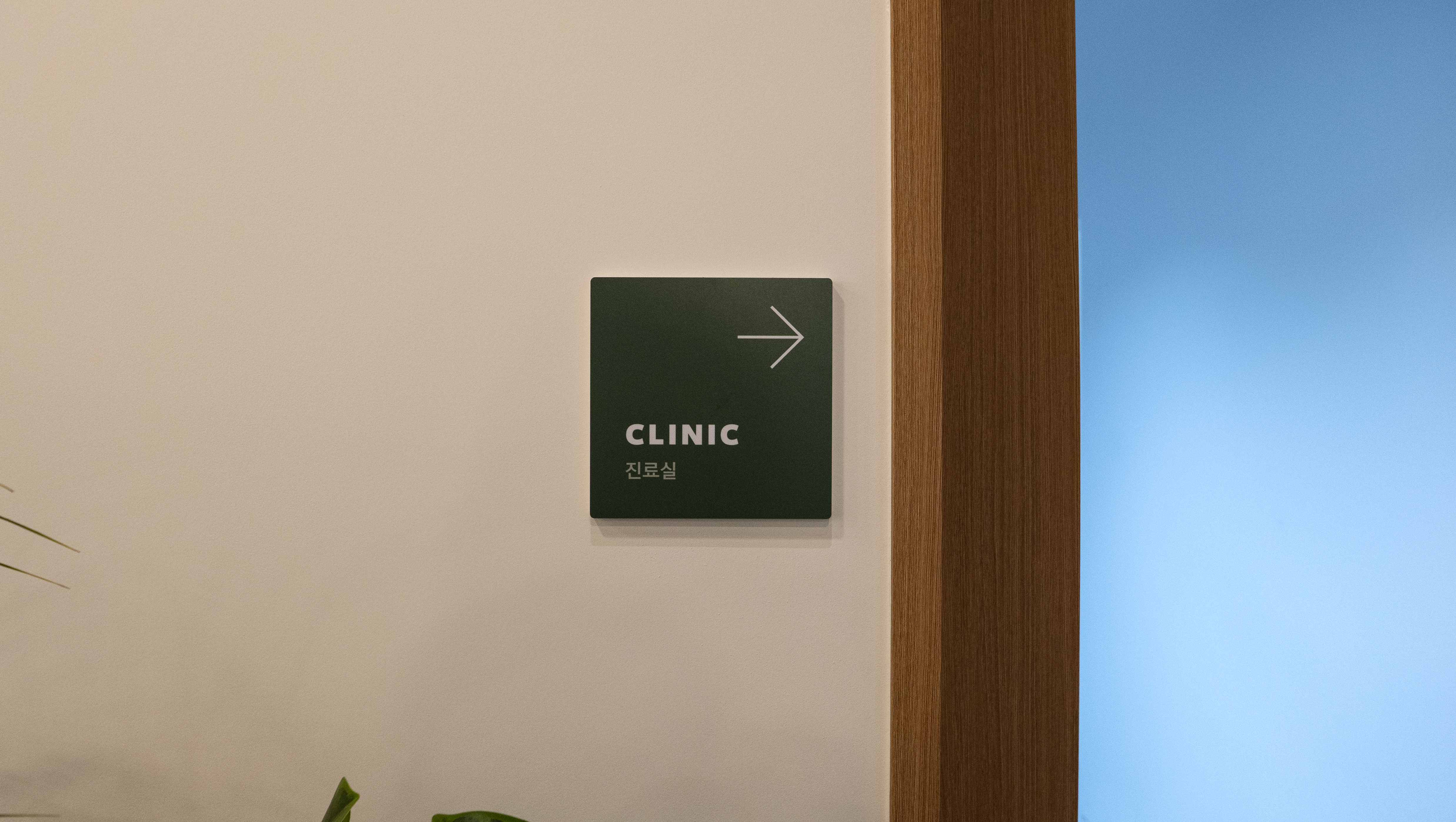 브이케어 강아지유치원 대표 이미지