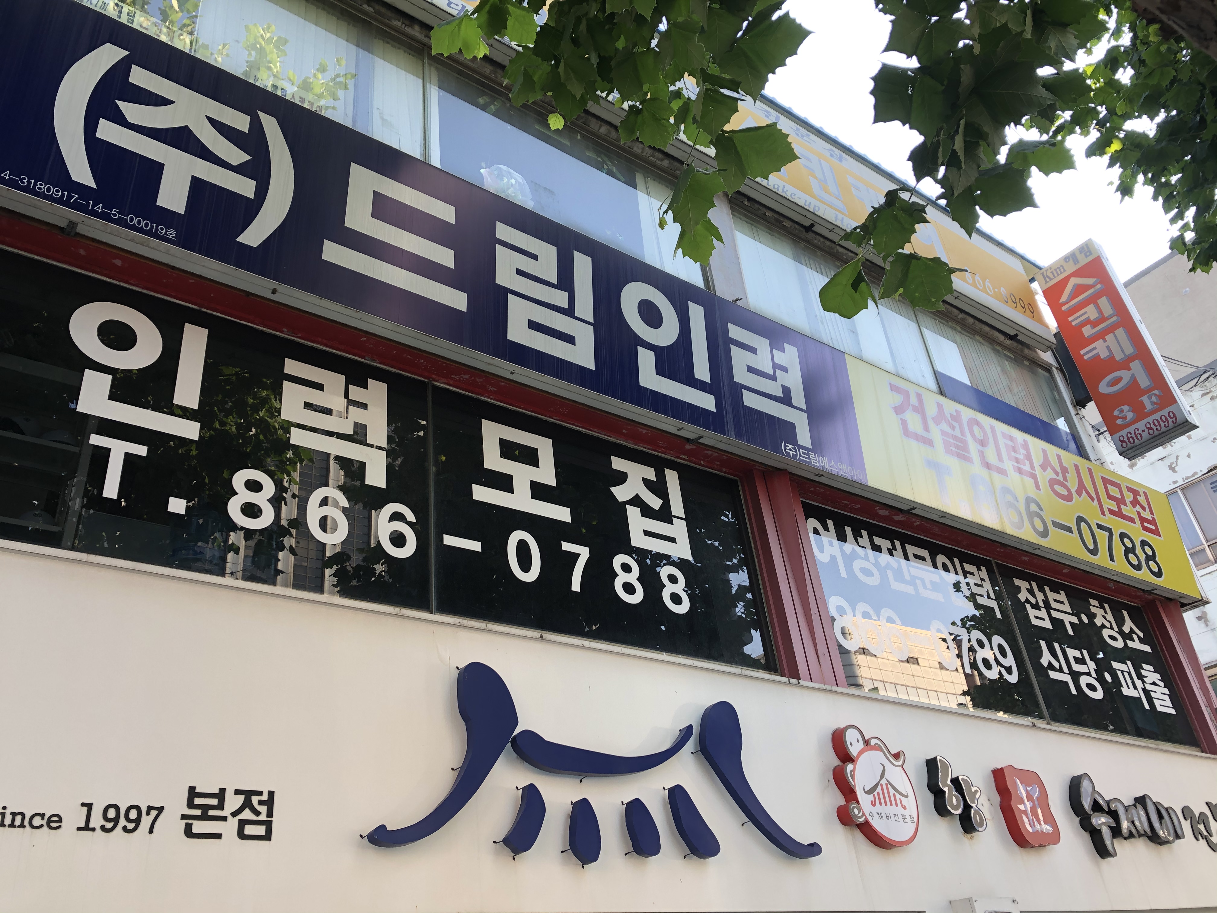 드림인력
