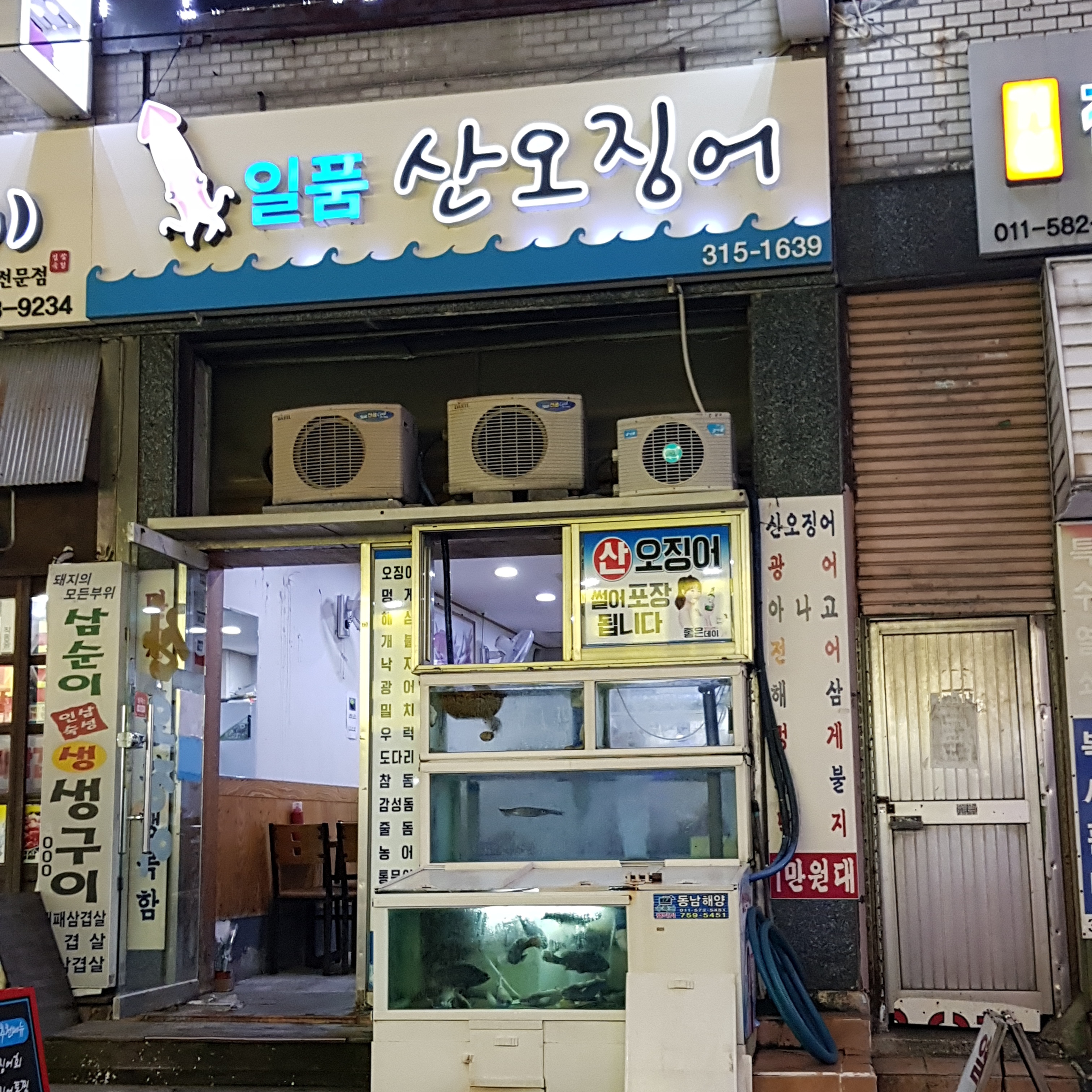 일품산오징어