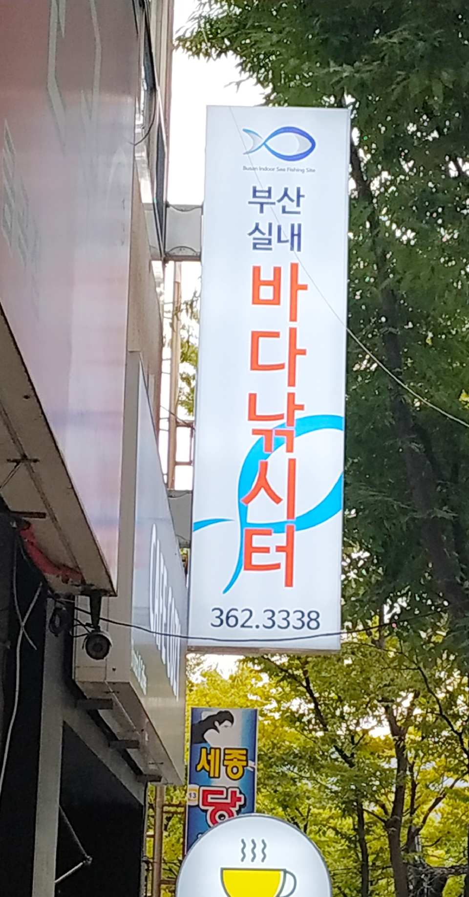 부산실내바다낚시터