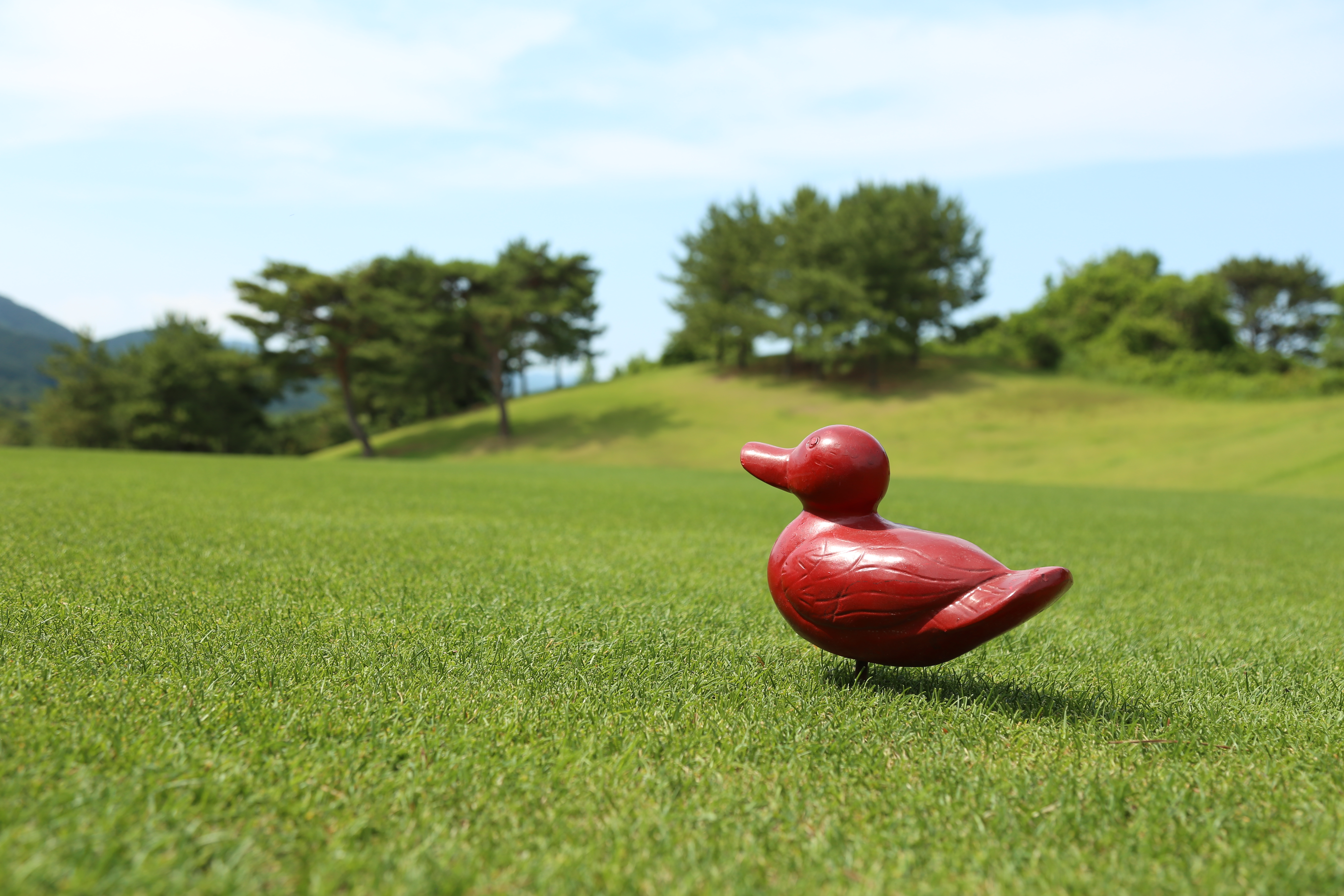 아시아드컨트리클럽 대표 이미지