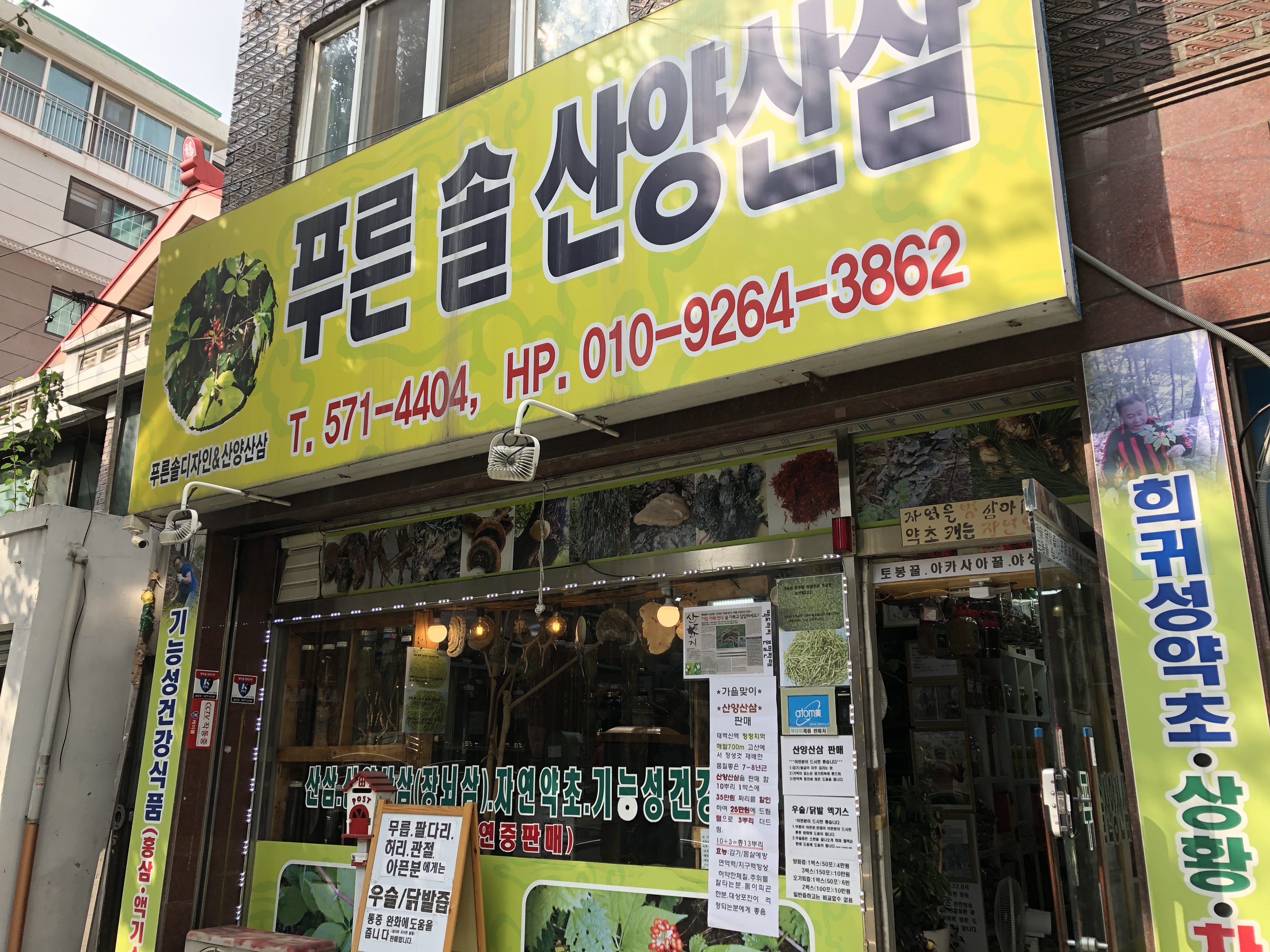 푸른솔산양산삼