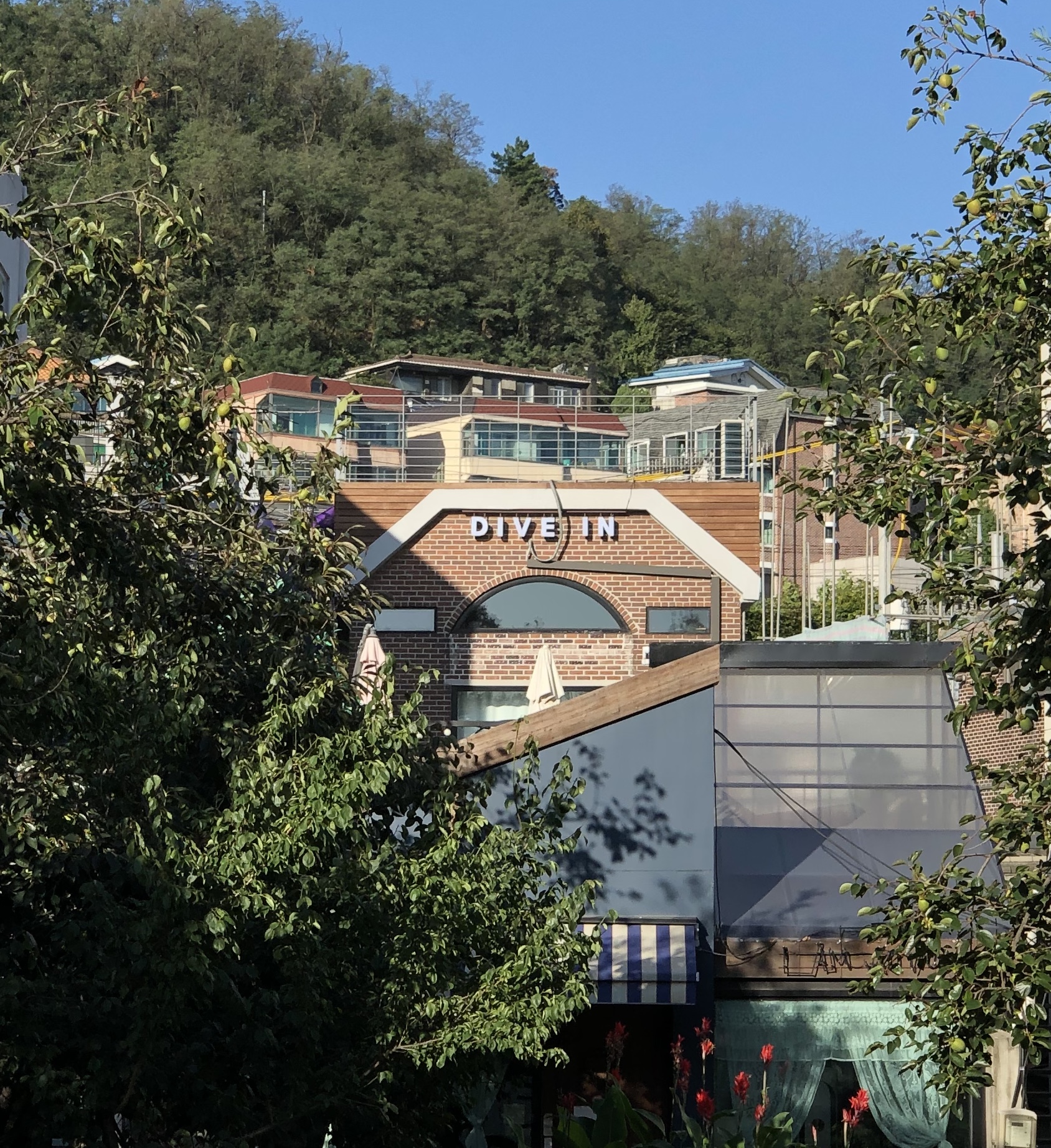 다이브인 대표 이미지