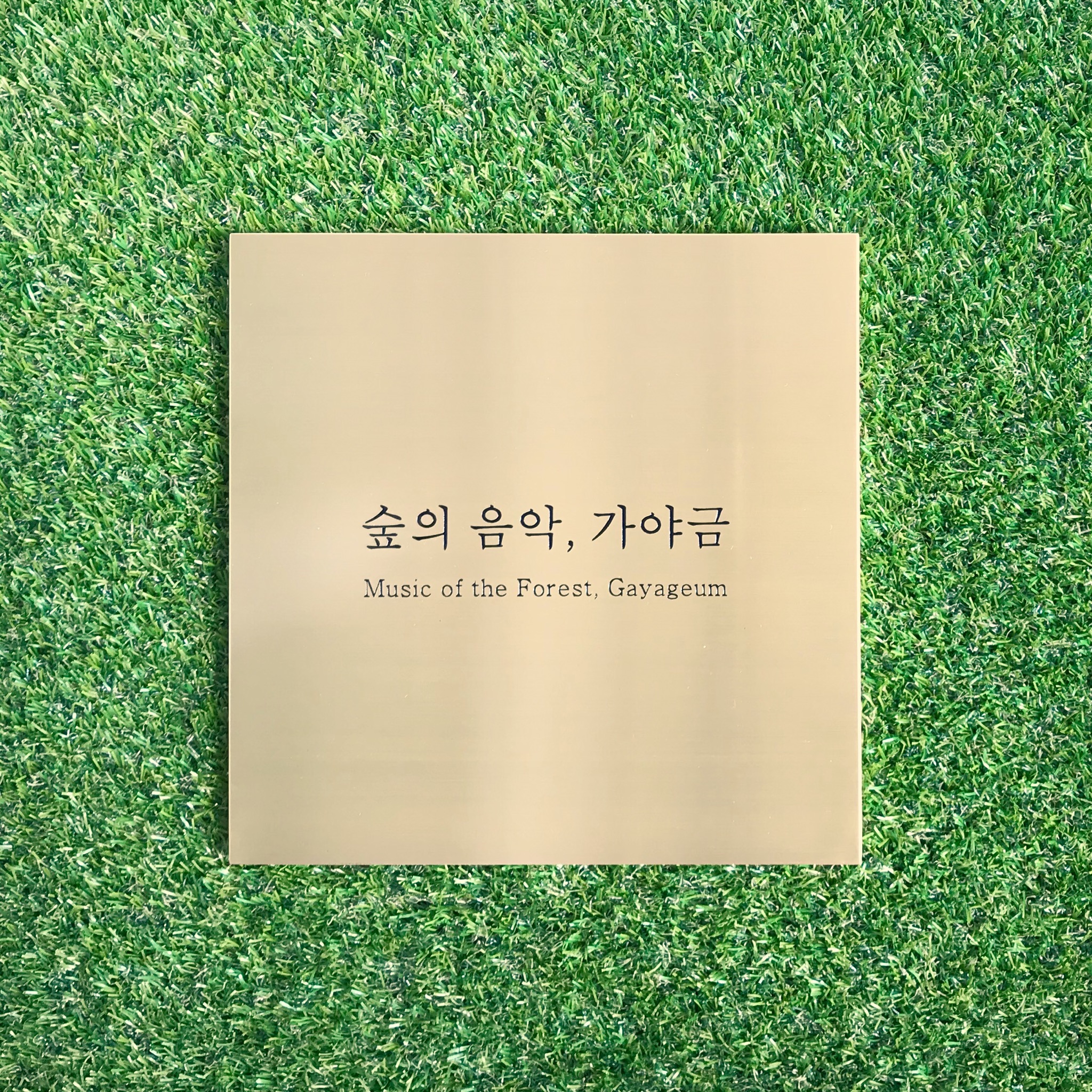 국악학원 경기 하남시 우수업체 판소리 가야금학원 태평소배우기 거문고 숙명 숲의 음악, 가야금