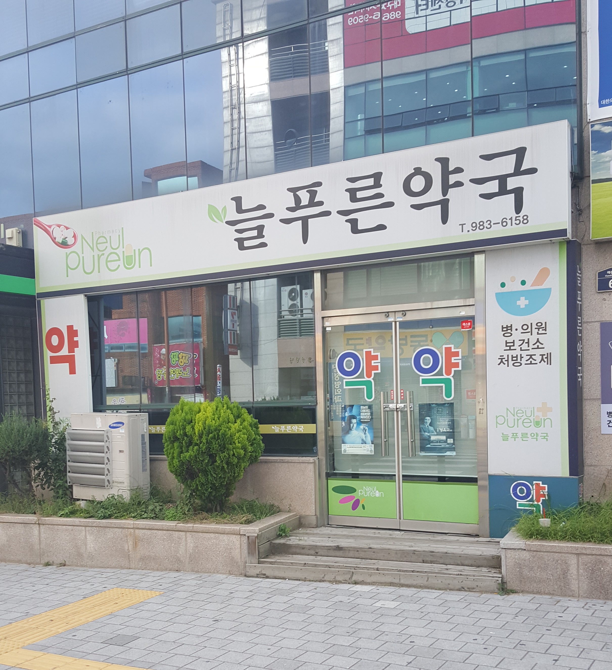 늘푸른약국