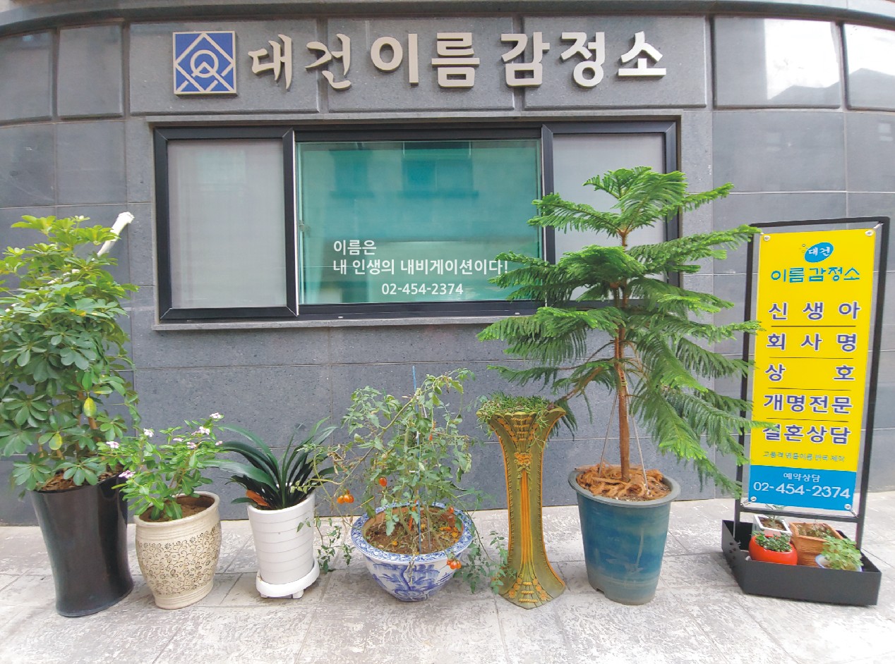 대건이름감정소