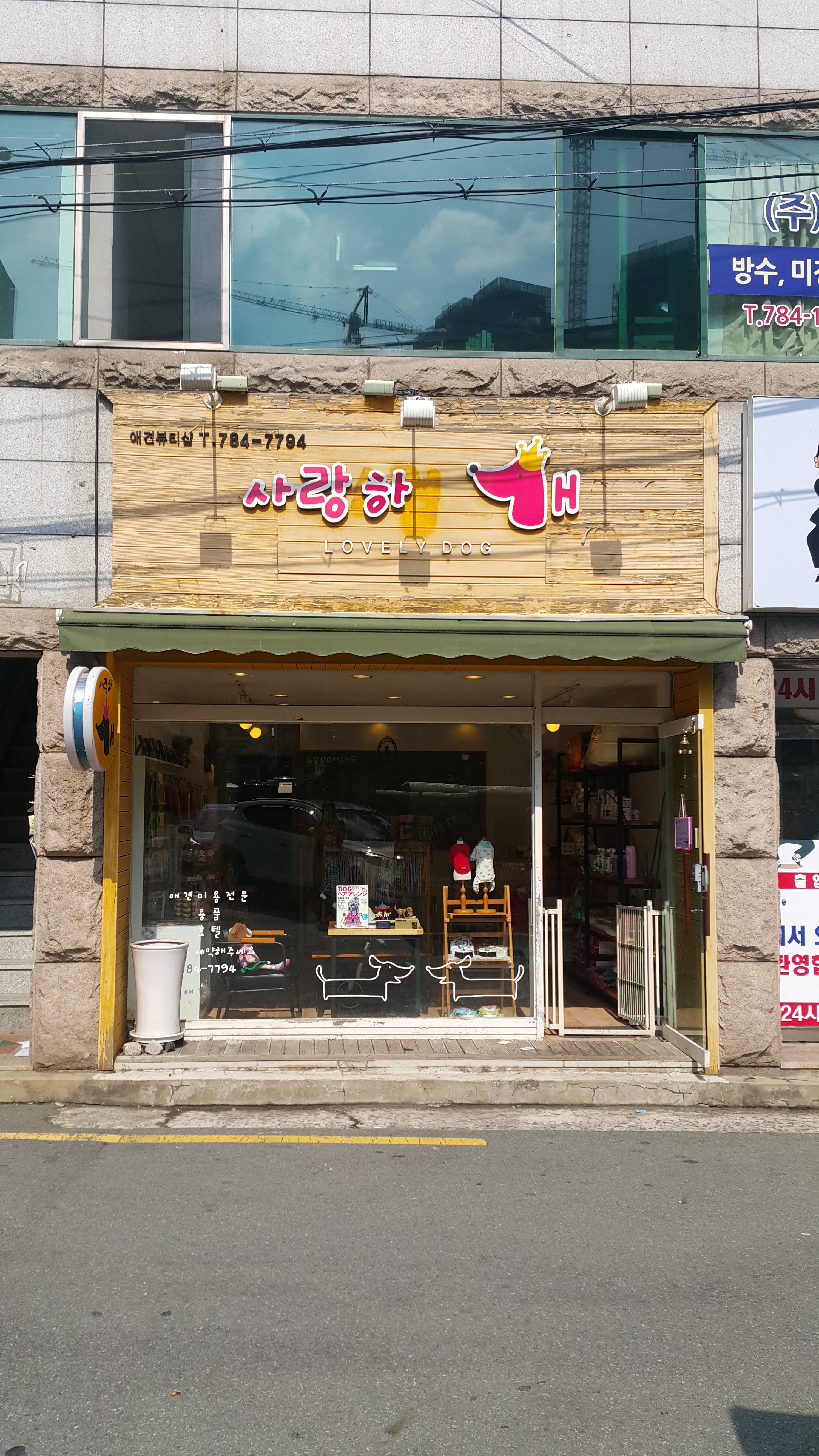 사랑하개