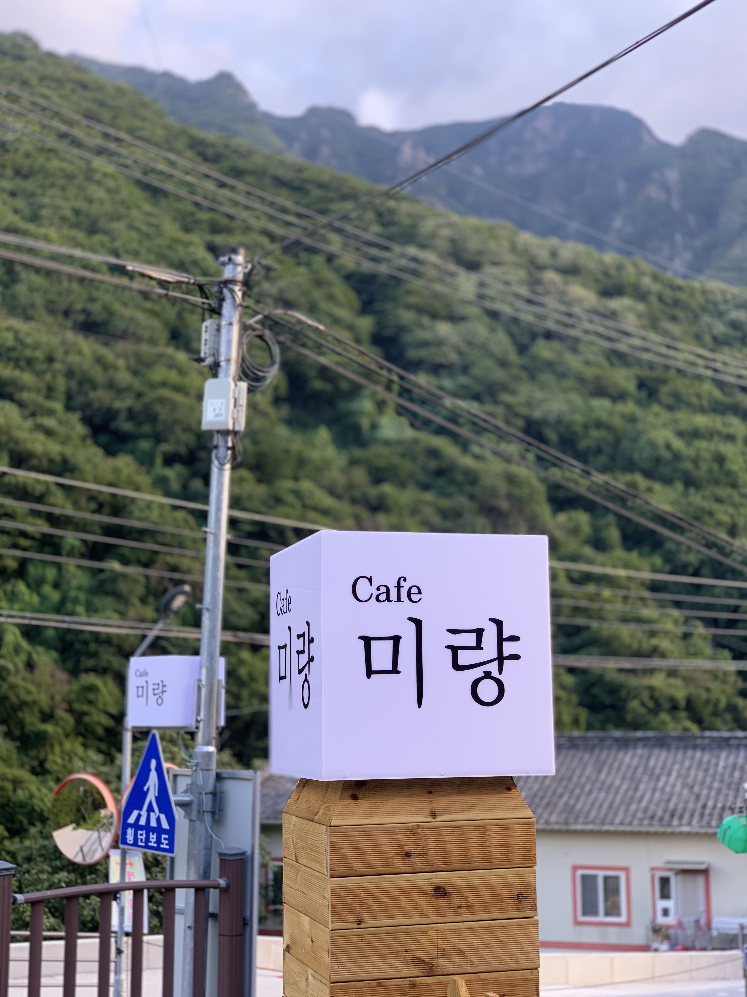 카페미량