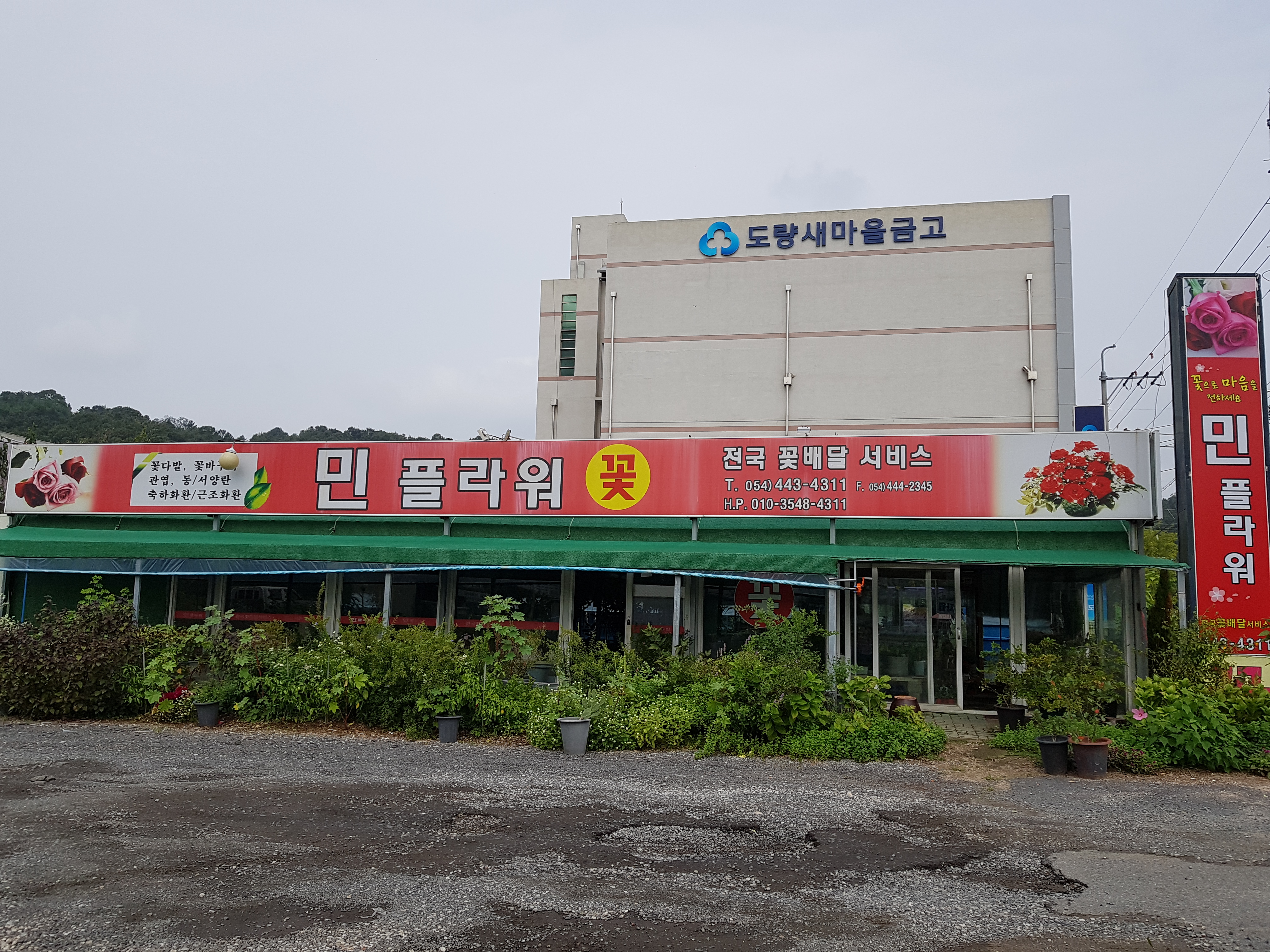 민플라워