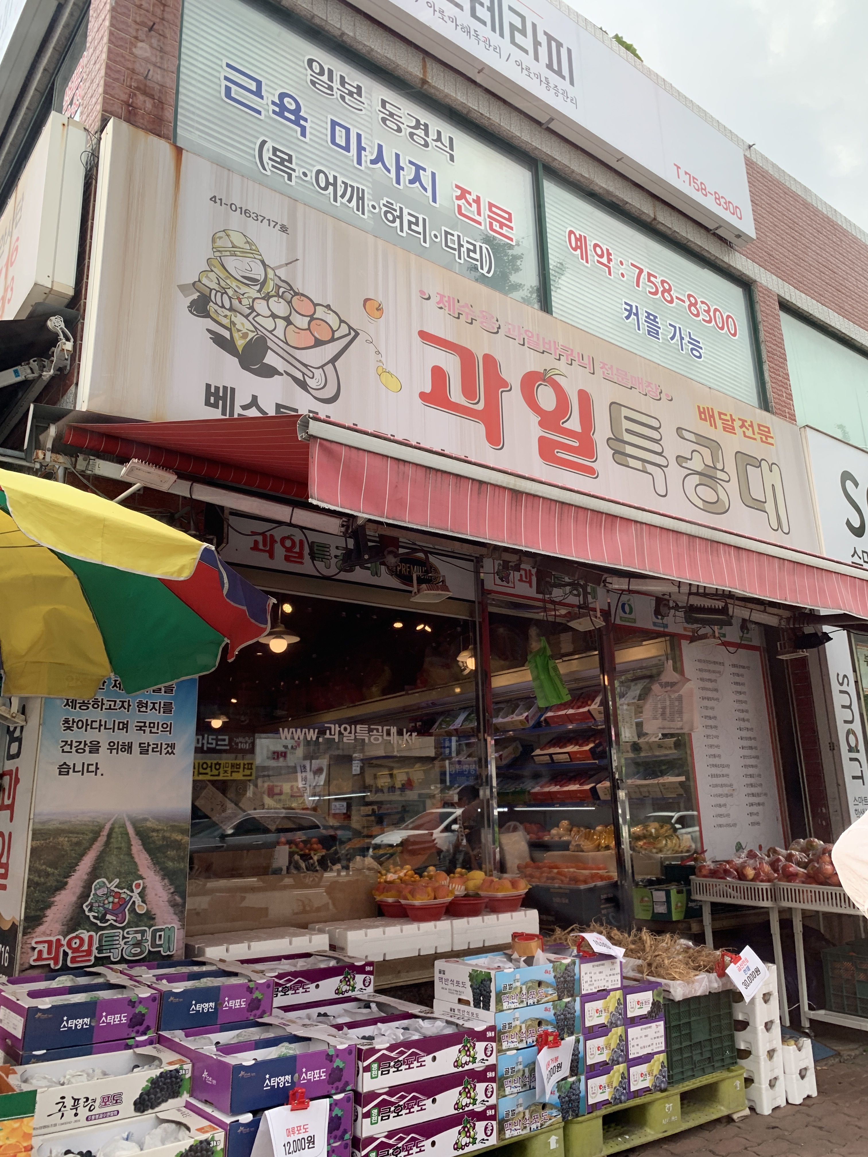 과일특공대베스트청과광안사단