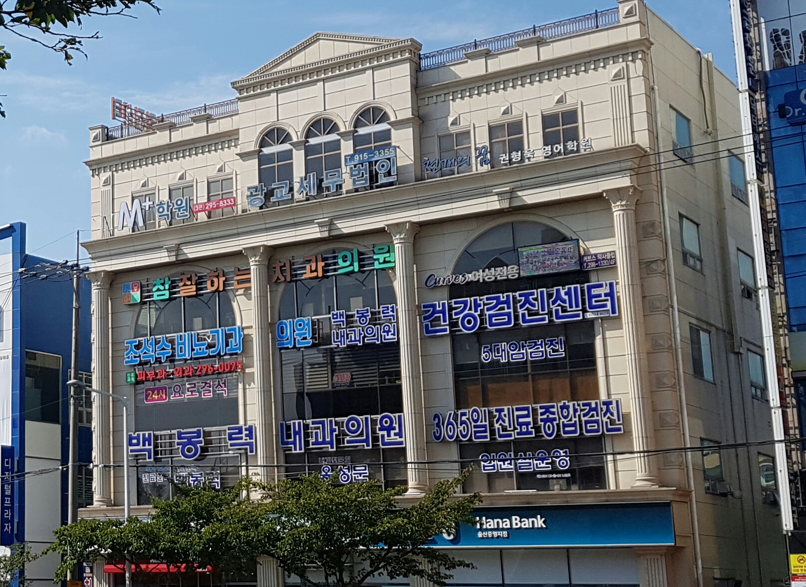 커브스 약사클럽