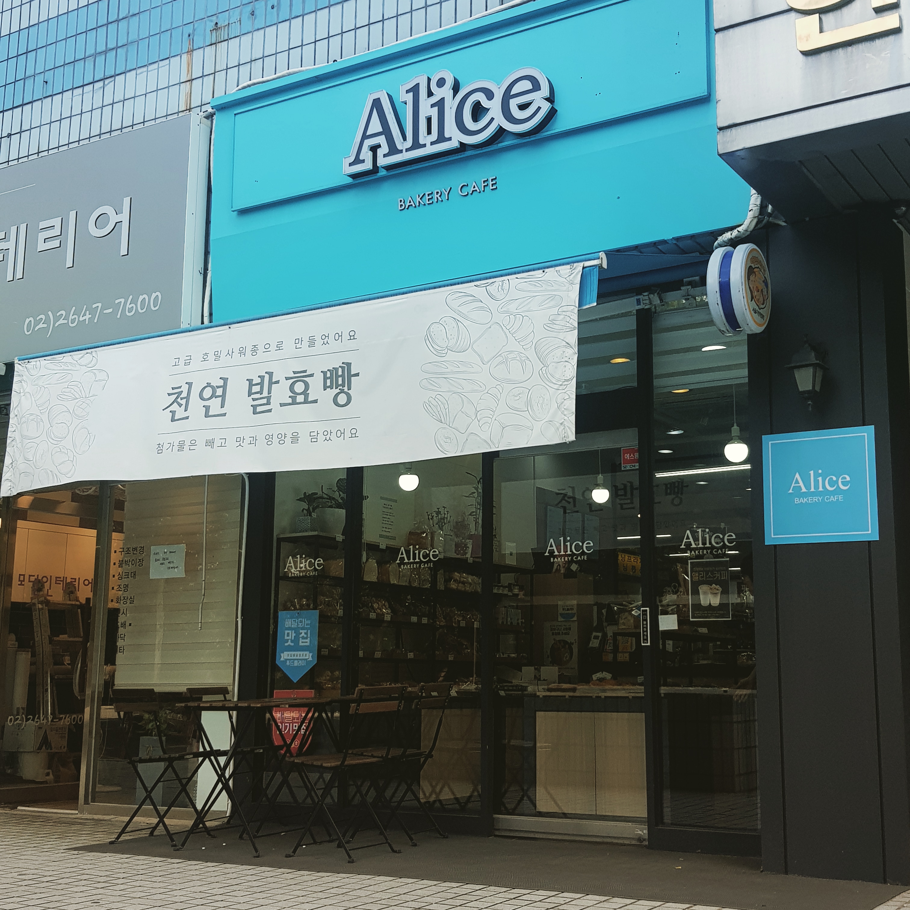 카페 앨리스 반려동물 동반 애견카페